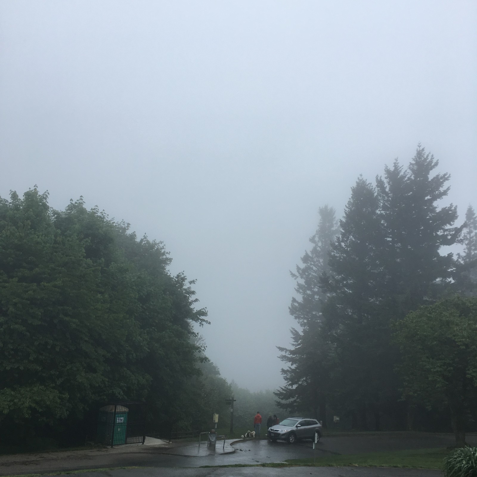 View from Council Crest toward Mt. Hood, which is NOT visible