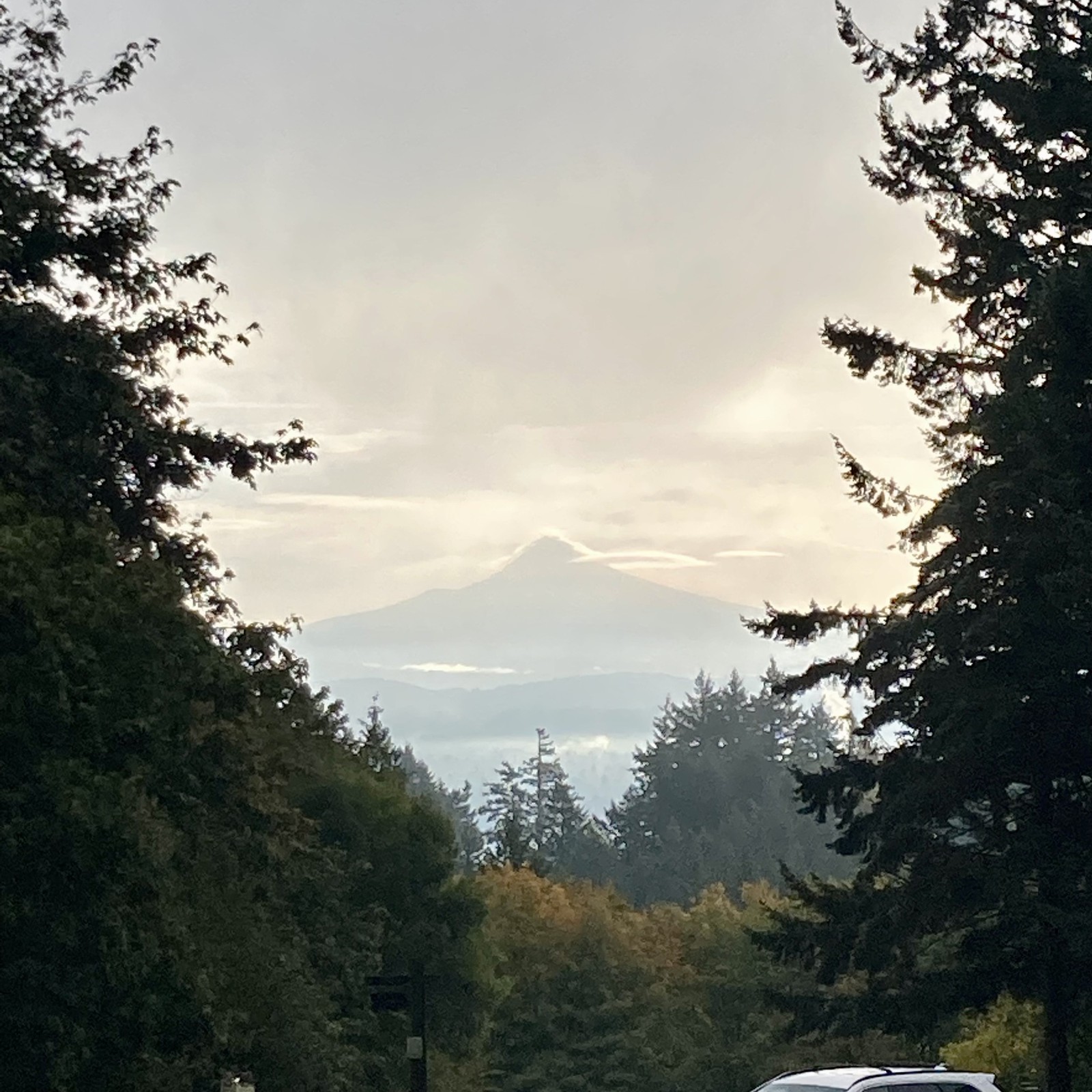View from Council Crest toward Mt. Hood, which is visible