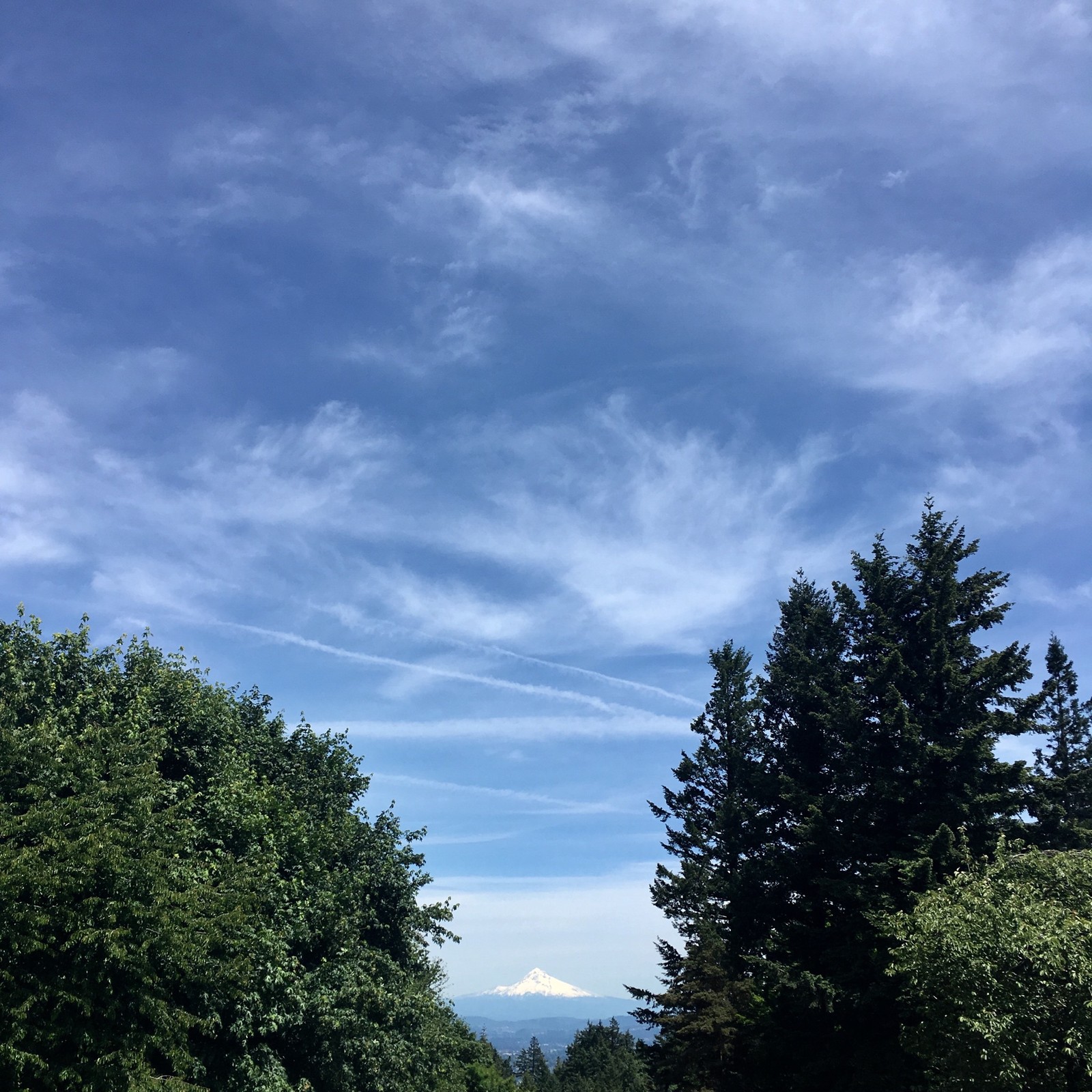 View from Council Crest toward Mt. Hood, which is visible