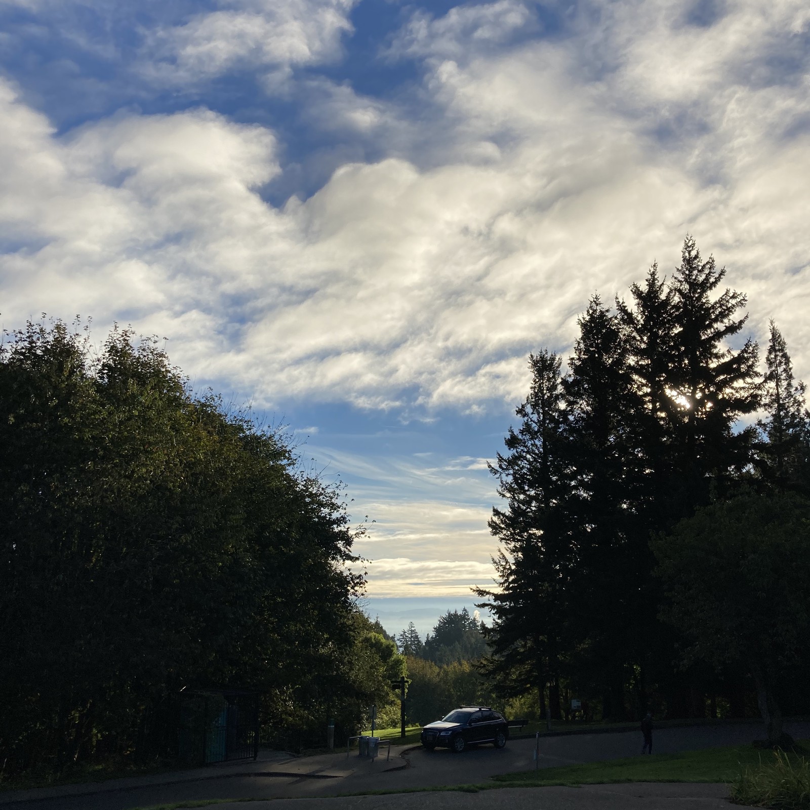 View from Council Crest toward Mt. Hood, which is NOT visible