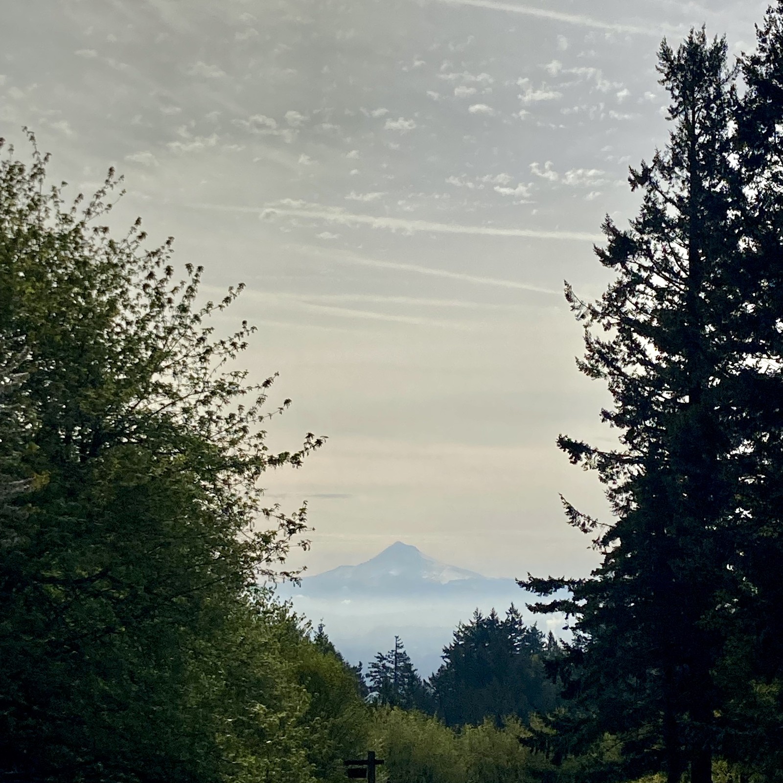 View from Council Crest toward Mt. Hood, which is visible