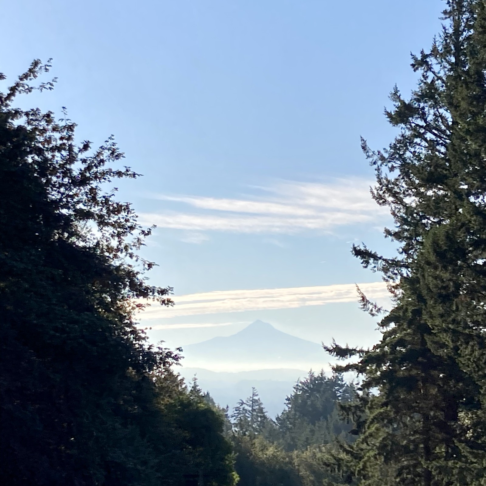 View from Council Crest toward Mt. Hood, which is visible