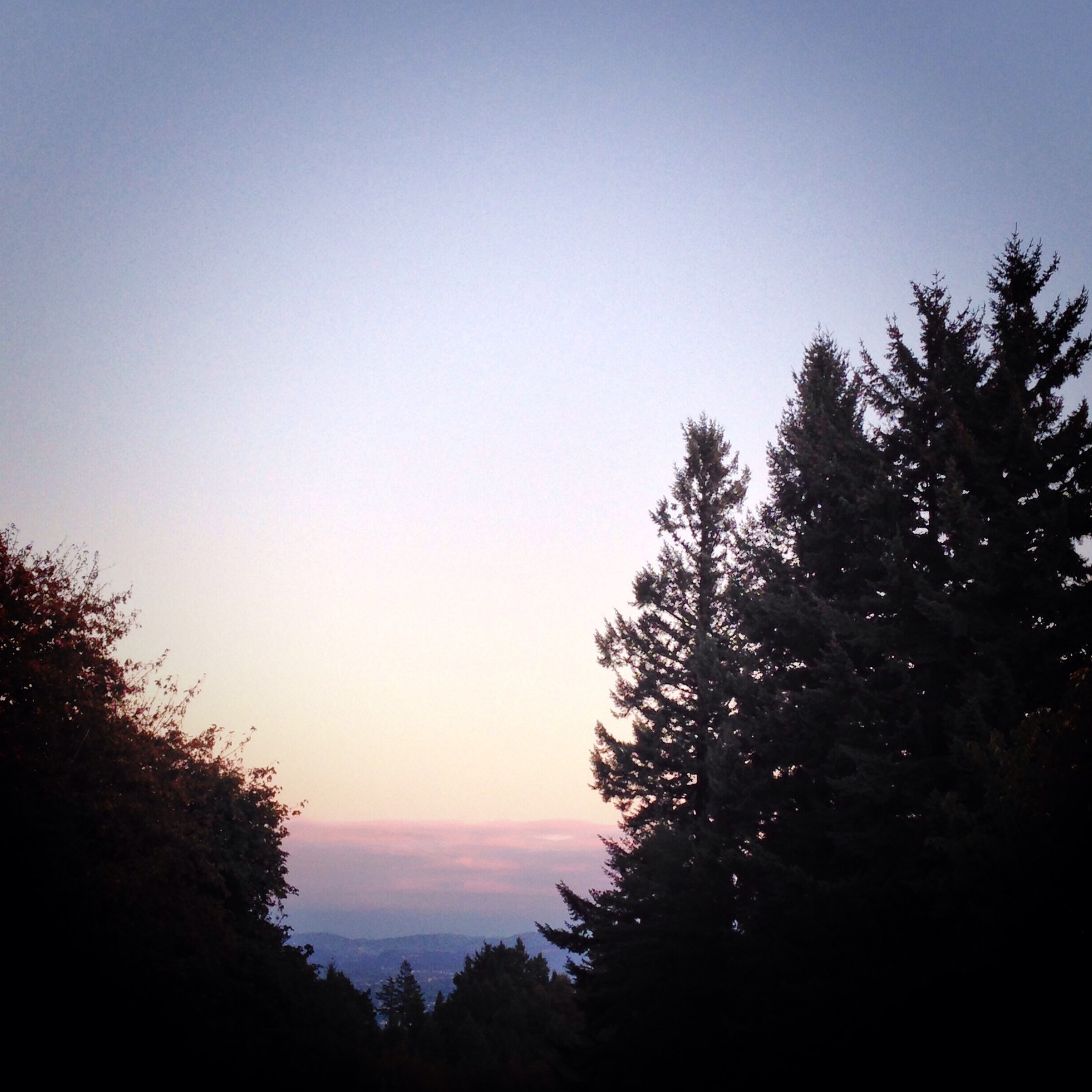 View from Council Crest toward Mt. Hood, which is NOT visible