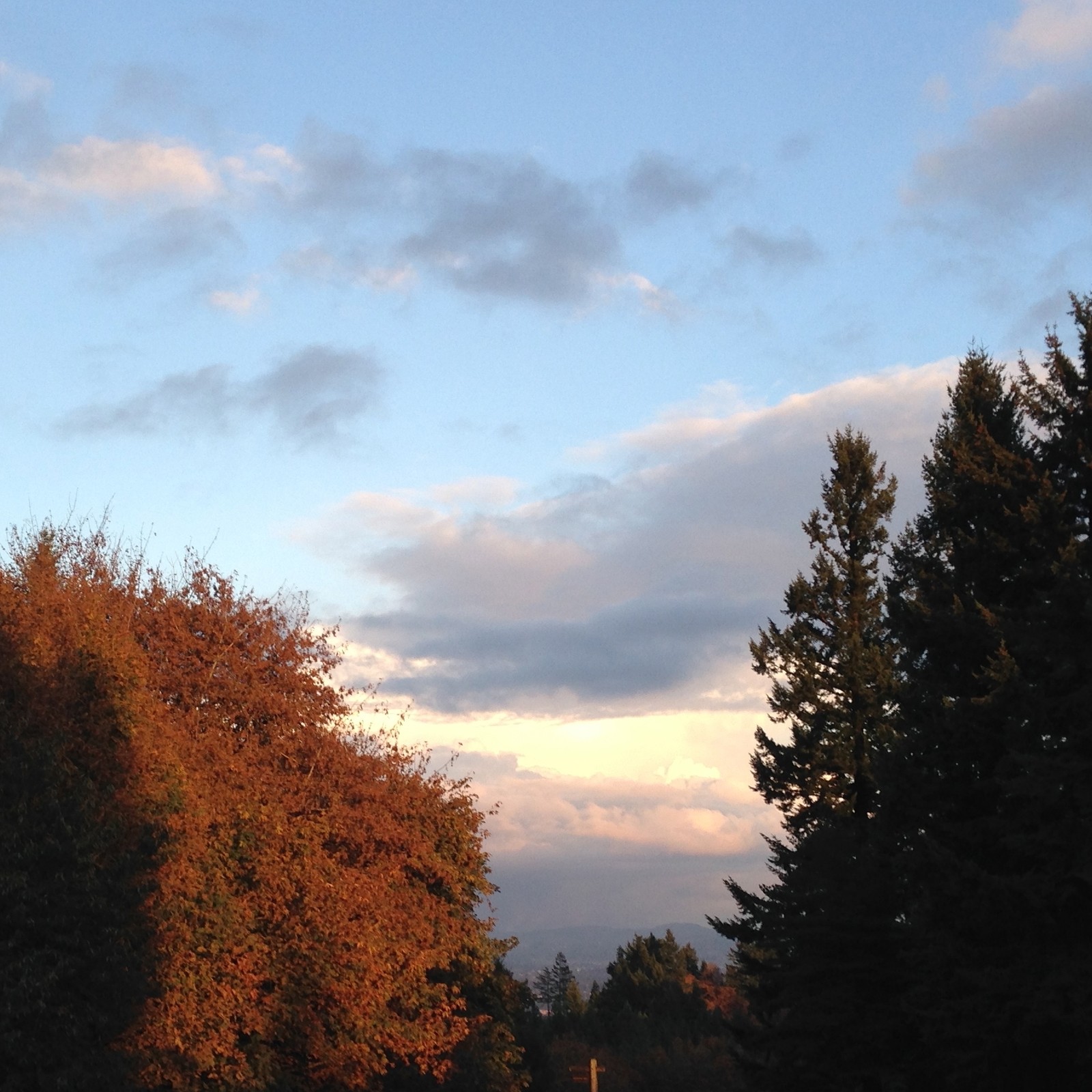View from Council Crest toward Mt. Hood, which is NOT visible