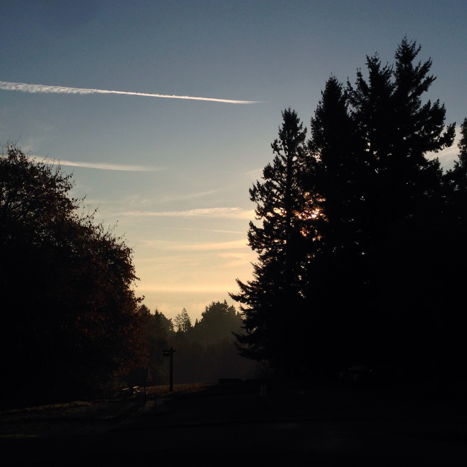 View from Council Crest toward Mt. Hood, which is visible