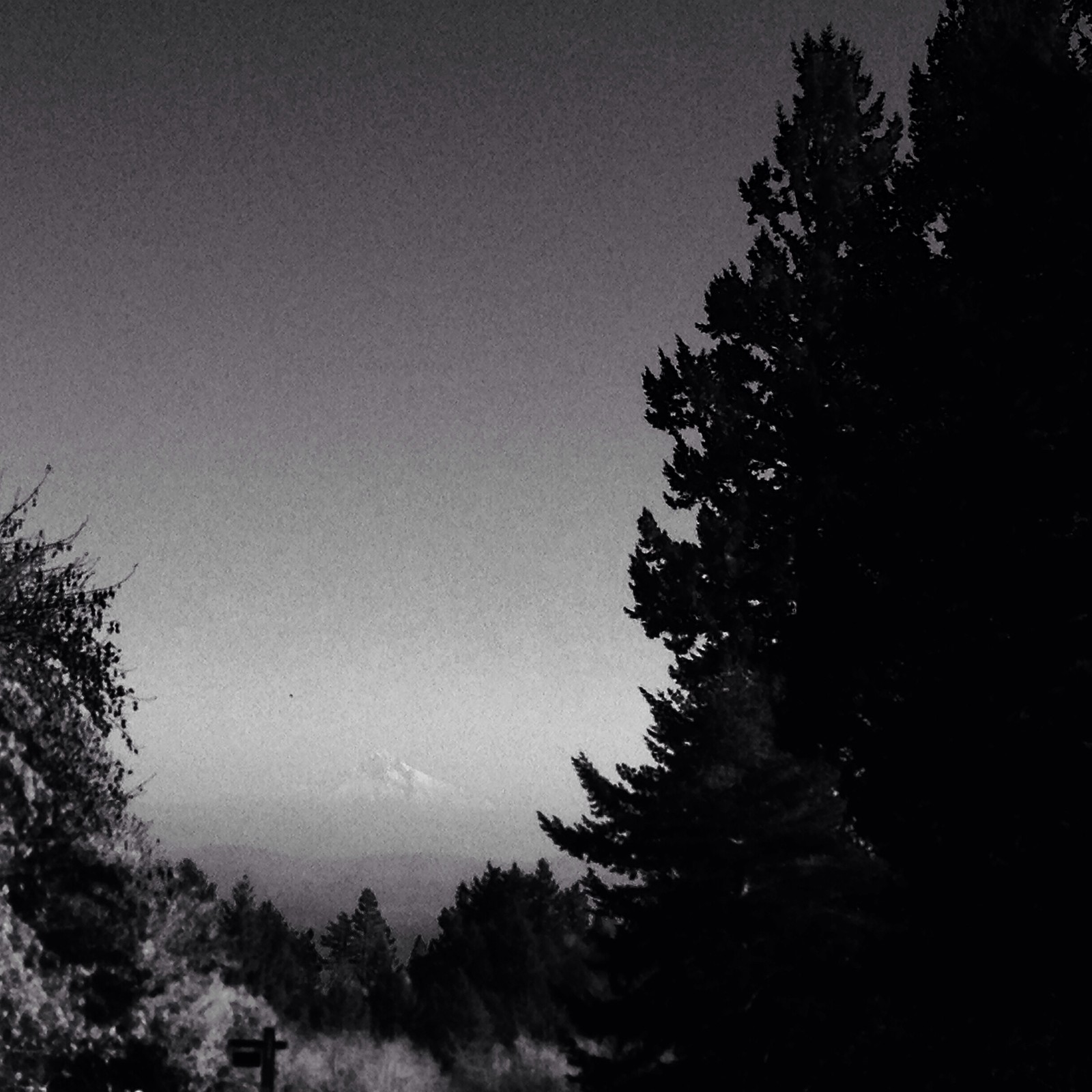 View from Council Crest toward Mt. Hood, which is visible