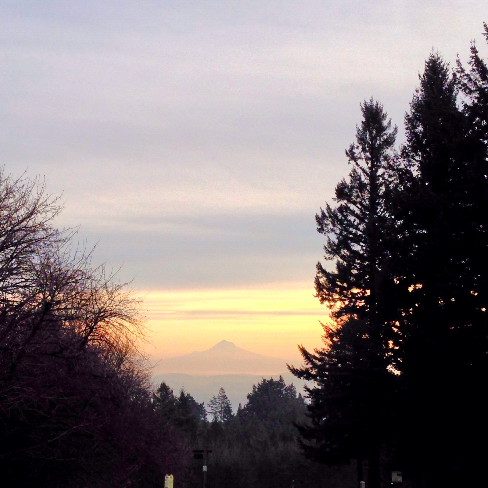 View from Council Crest toward Mt. Hood, which is visible