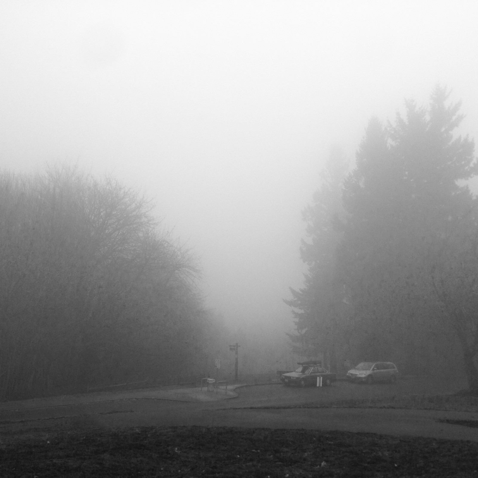 View from Council Crest toward Mt. Hood, which is NOT visible