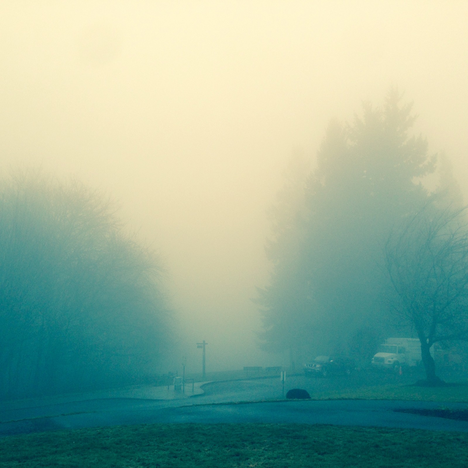 View from Council Crest toward Mt. Hood, which is NOT visible