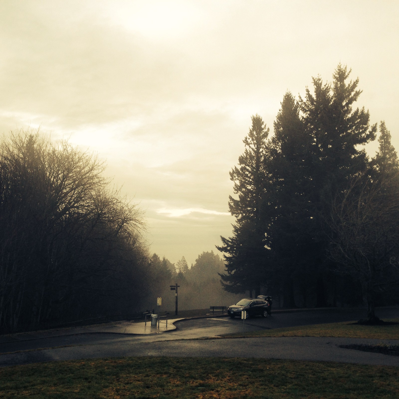 View from Council Crest toward Mt. Hood, which is NOT visible