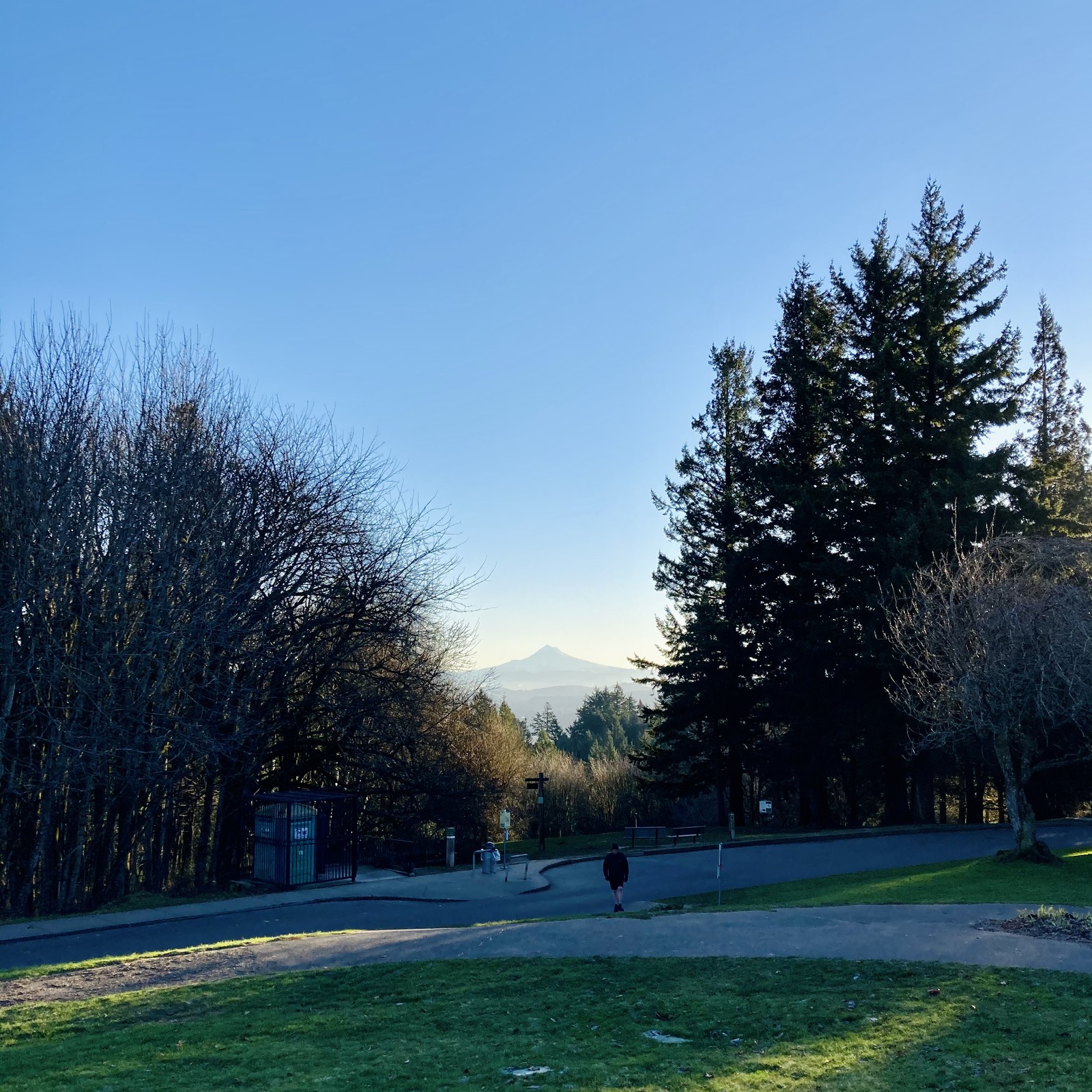 View from Council Crest toward Mt. Hood, which is visible