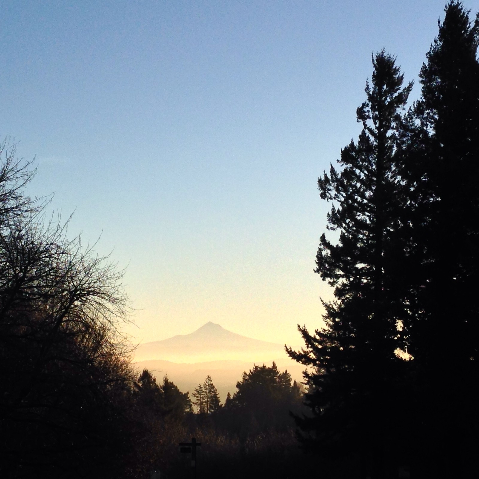 View from Council Crest toward Mt. Hood, which is visible