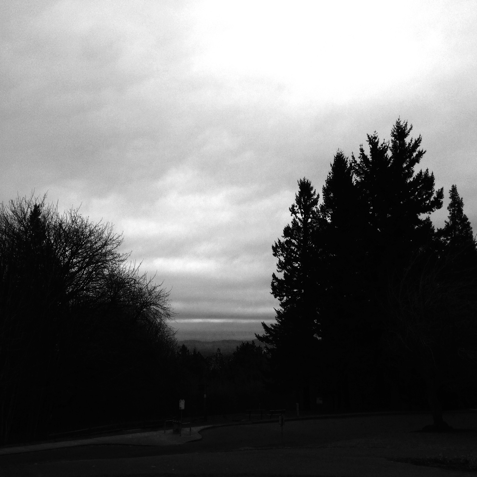 View from Council Crest toward Mt. Hood, which is NOT visible