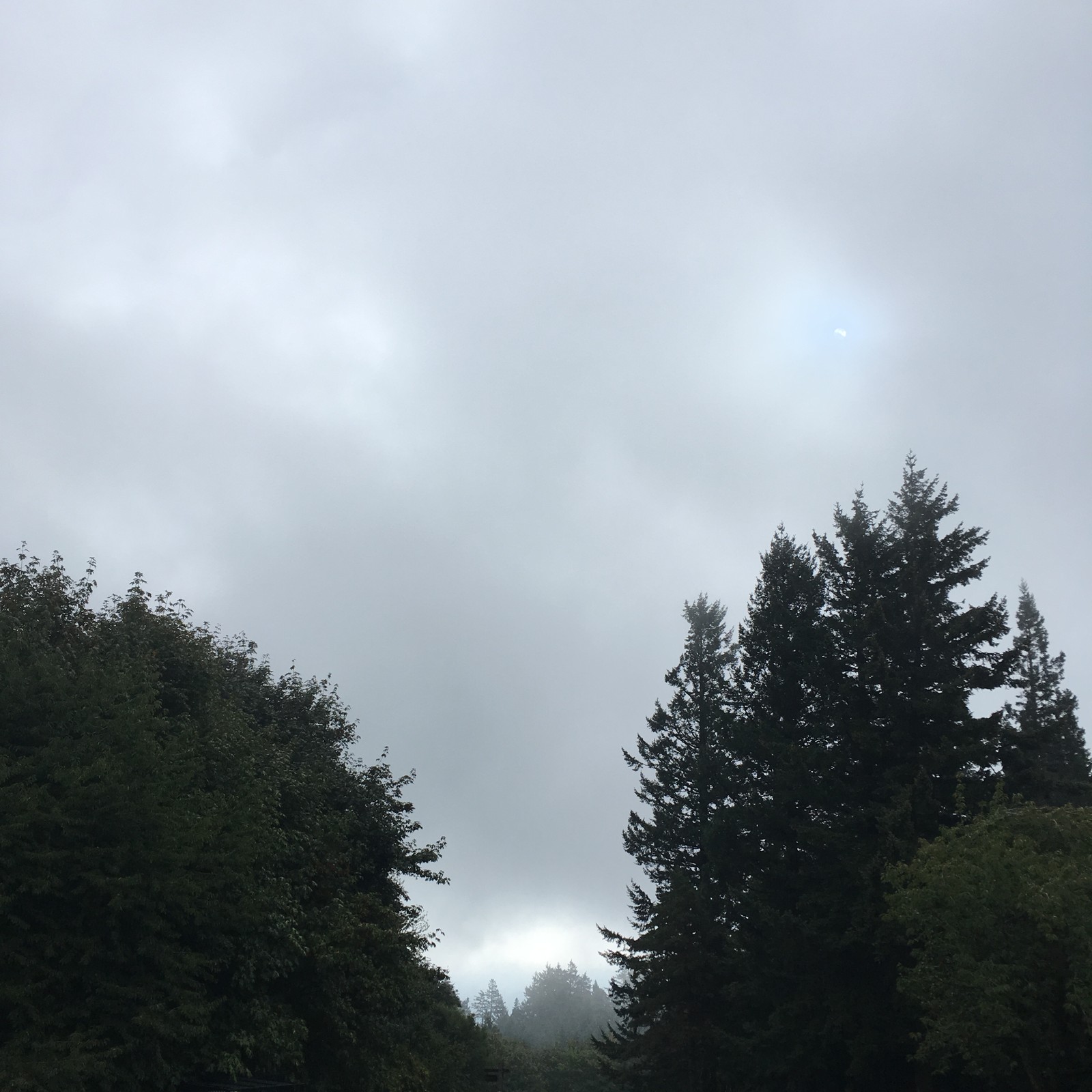 View from Council Crest toward Mt. Hood, which is NOT visible