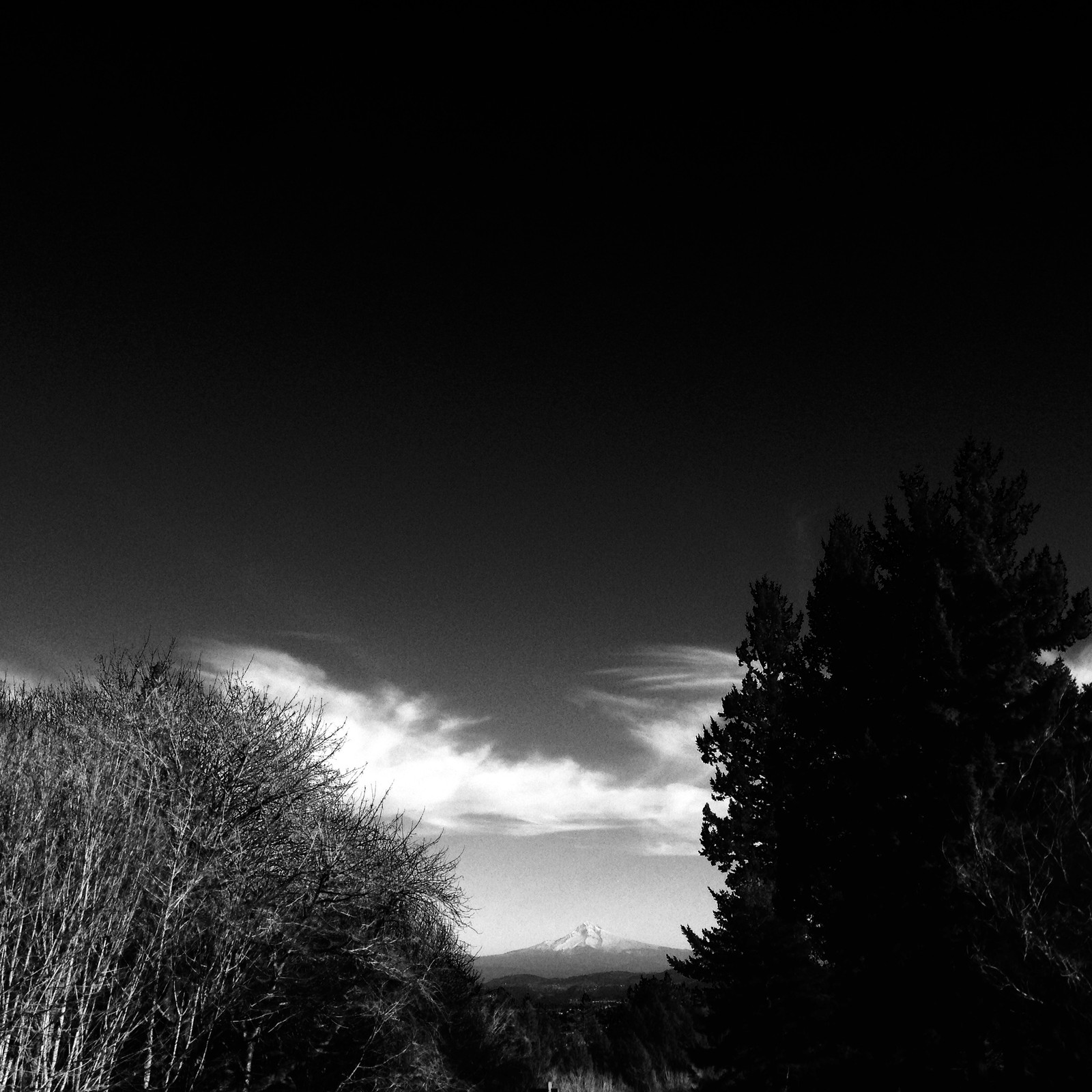 View from Council Crest toward Mt. Hood, which is visible