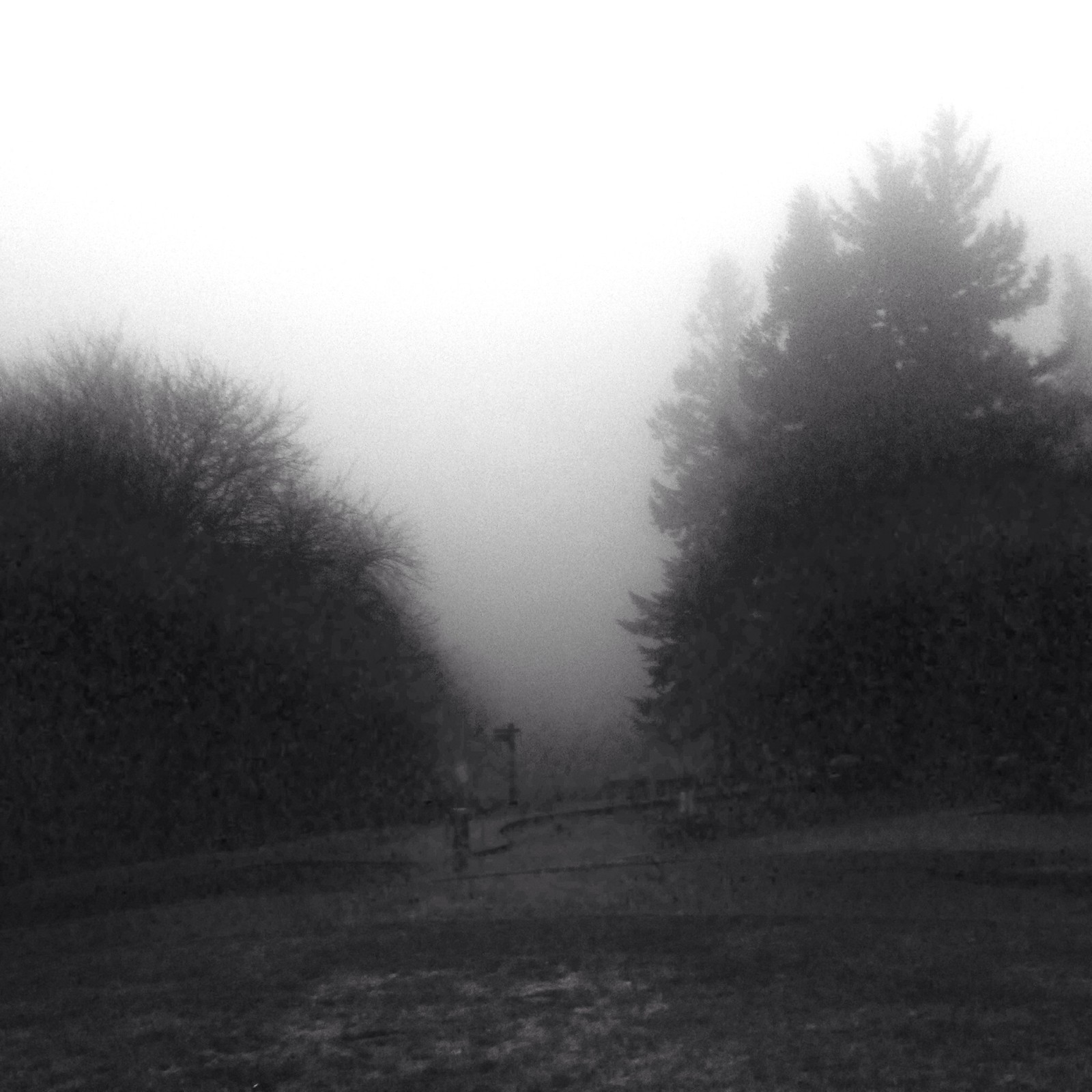 View from Council Crest toward Mt. Hood, which is NOT visible