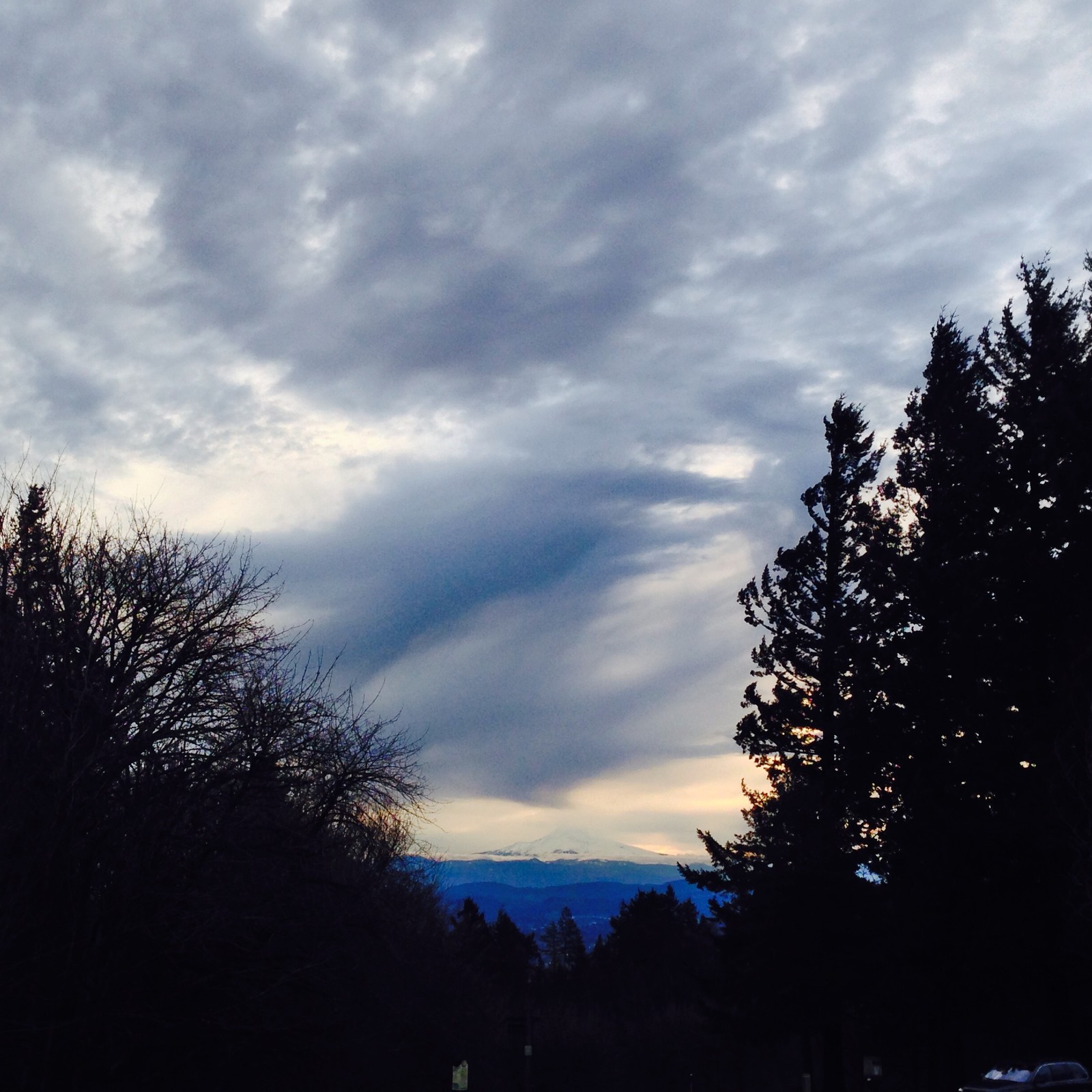View from Council Crest toward Mt. Hood, which is visible