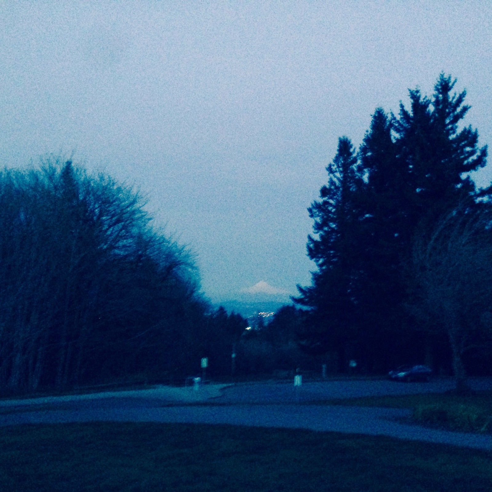 View from Council Crest toward Mt. Hood, which is visible