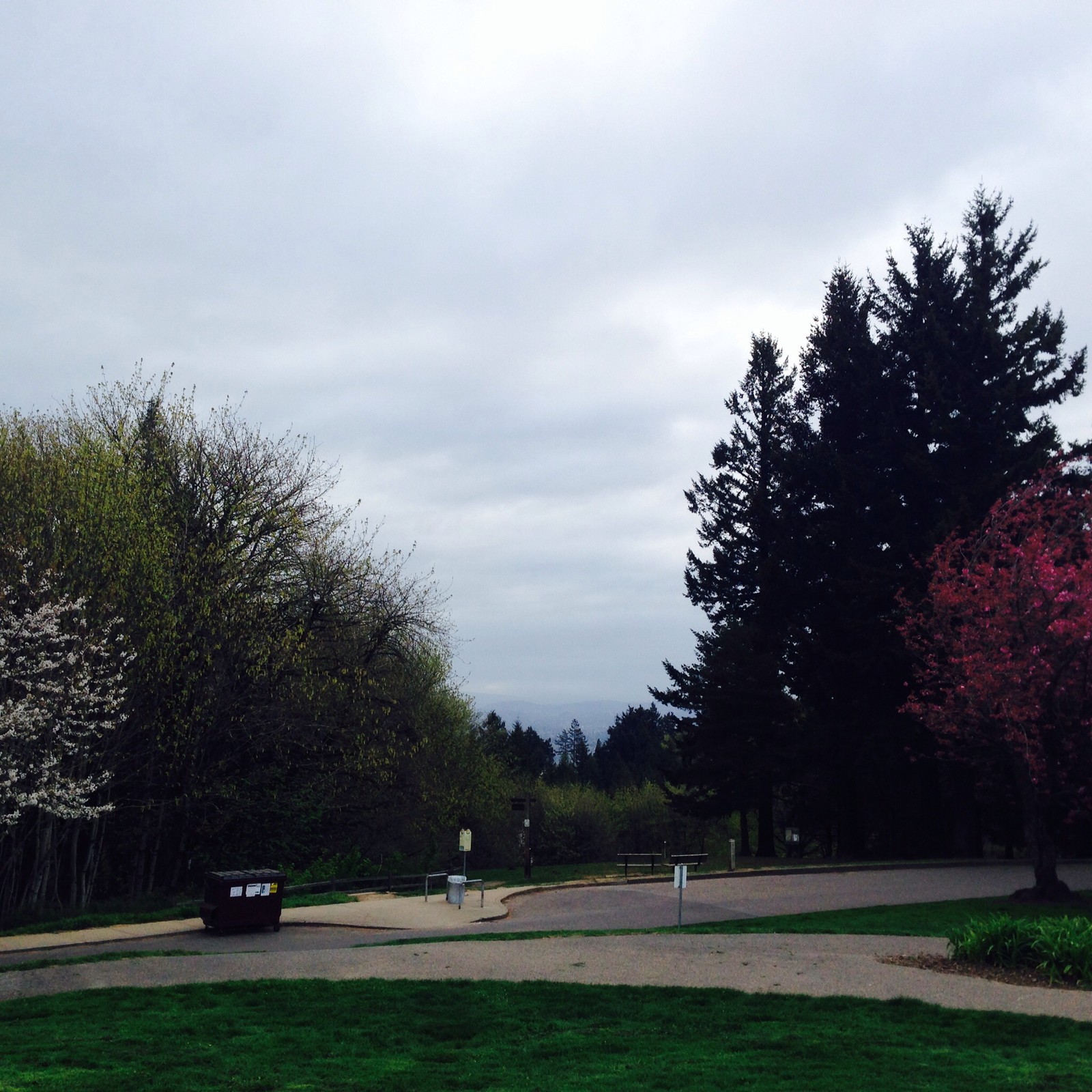 View from Council Crest toward Mt. Hood, which is NOT visible