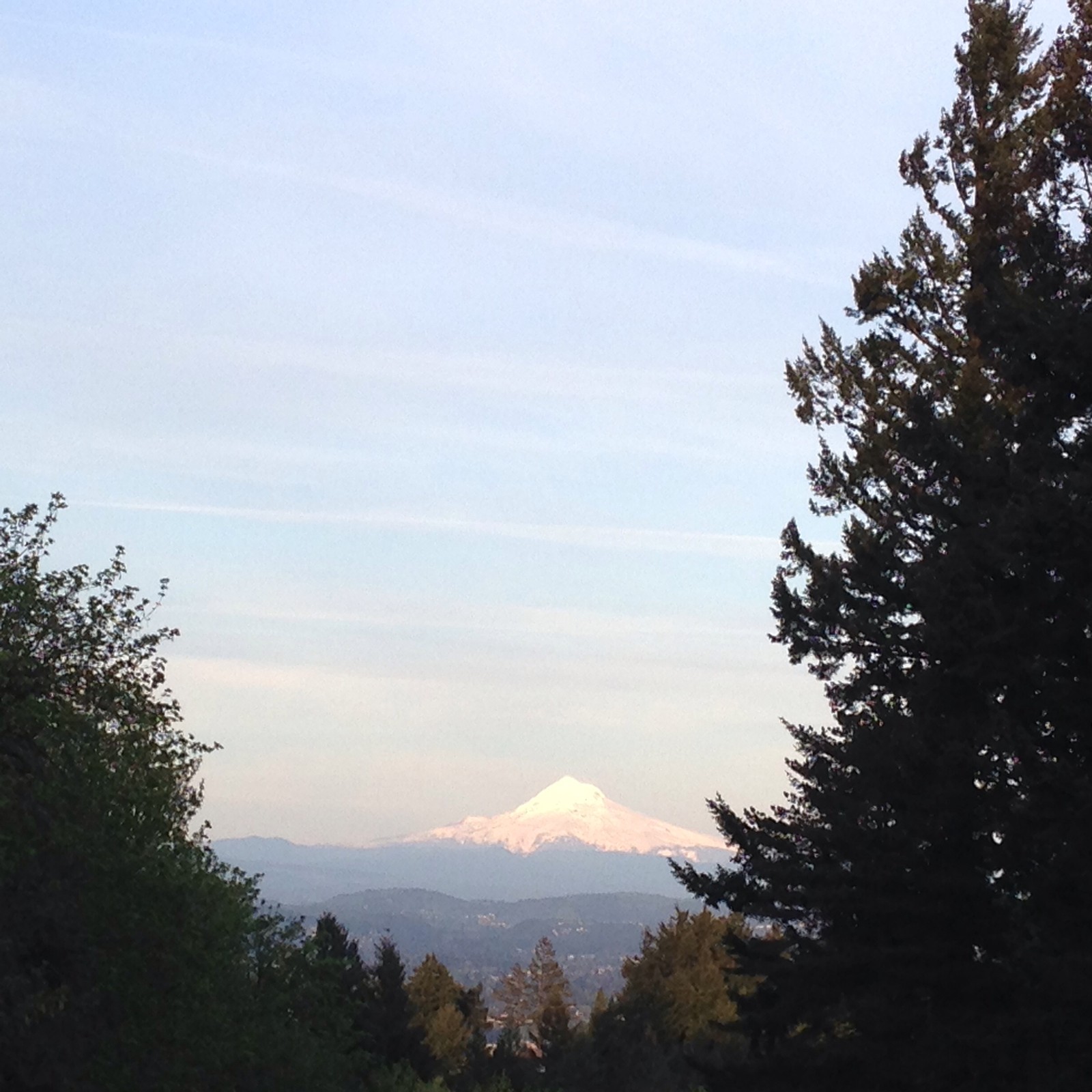 View from Council Crest toward Mt. Hood, which is visible