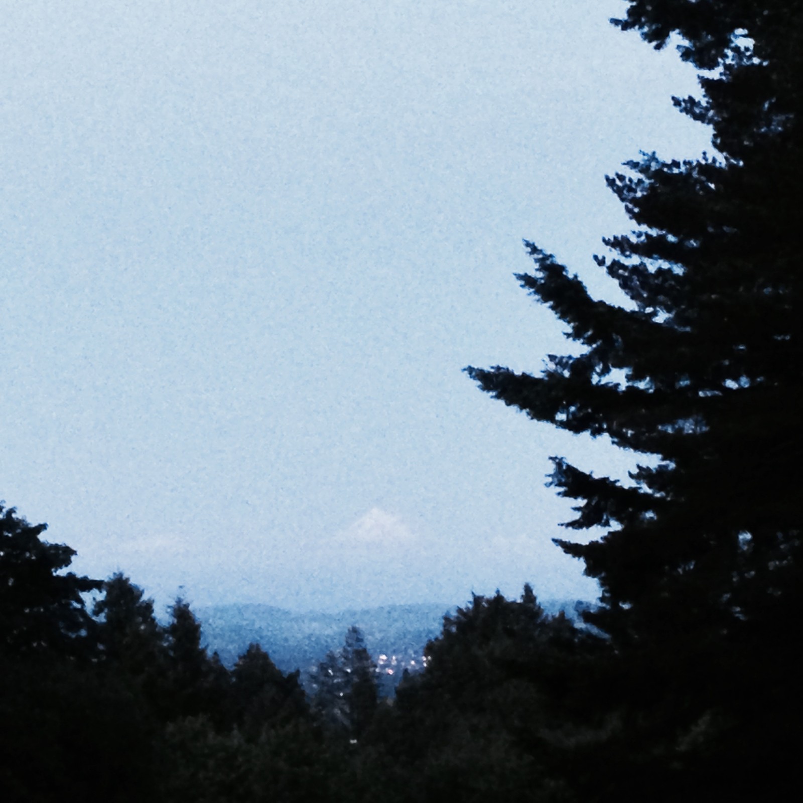 View from Council Crest toward Mt. Hood, which is visible