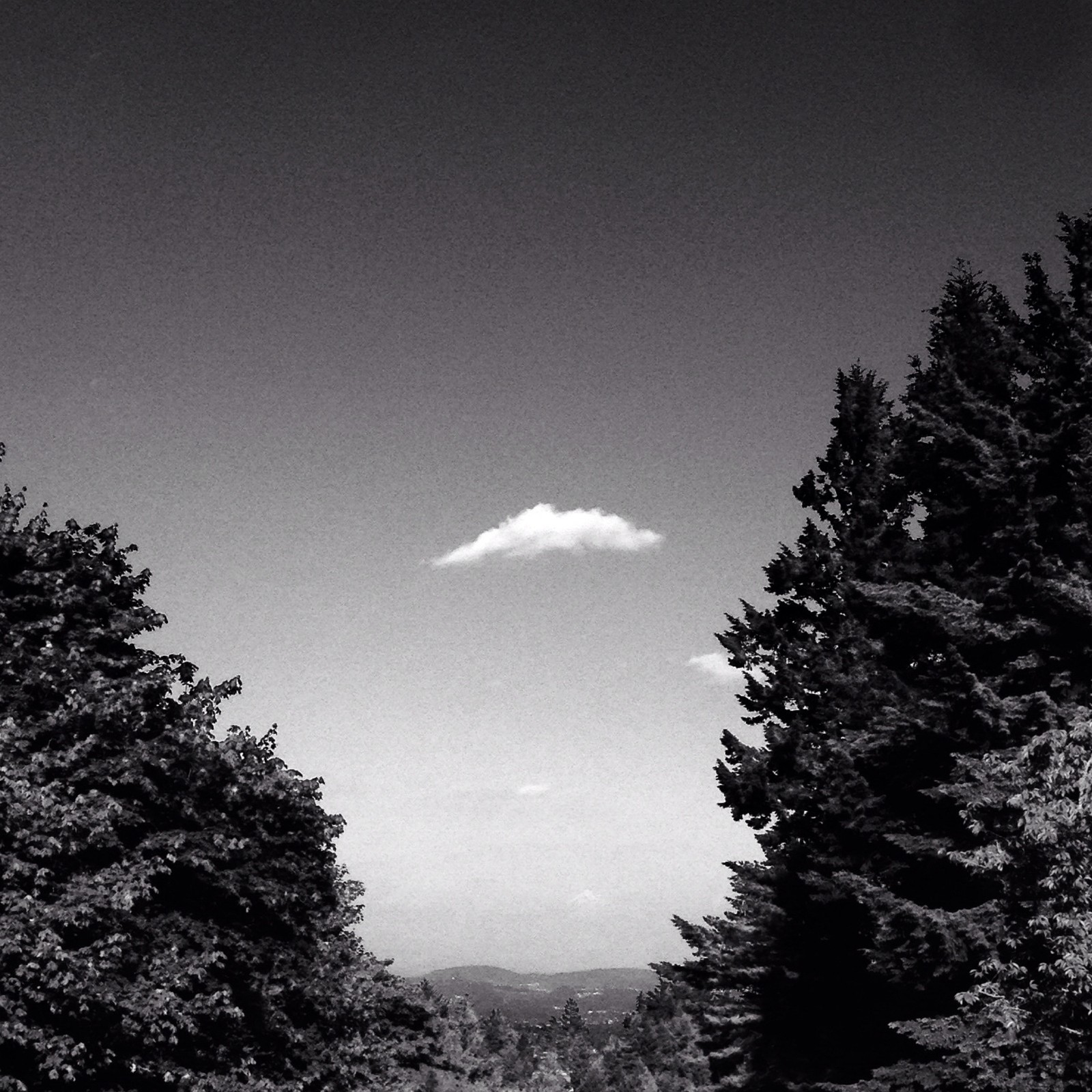 View from Council Crest toward Mt. Hood, which is visible
