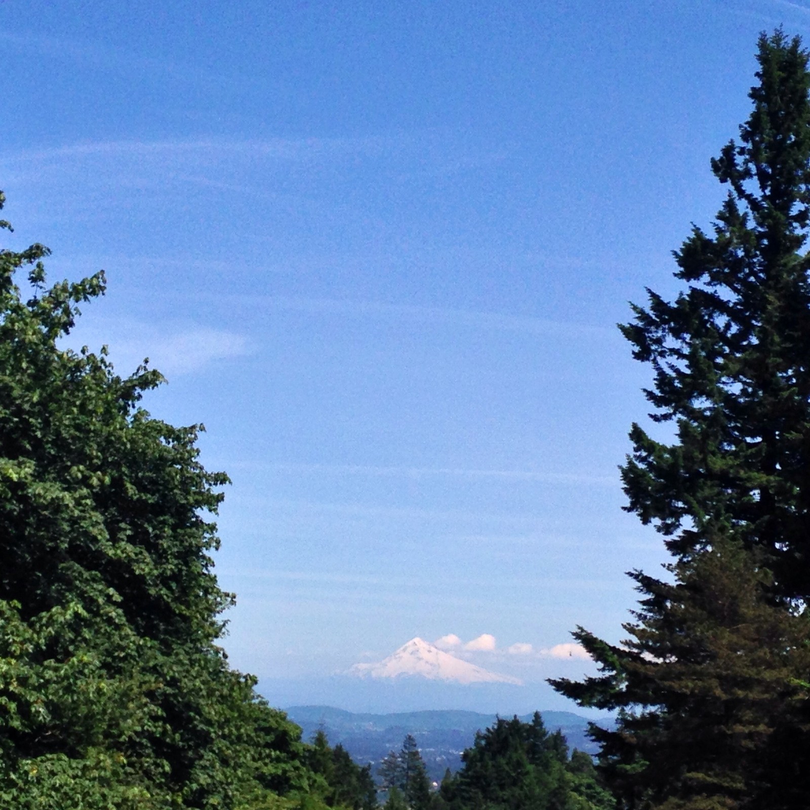 View from Council Crest toward Mt. Hood, which is visible