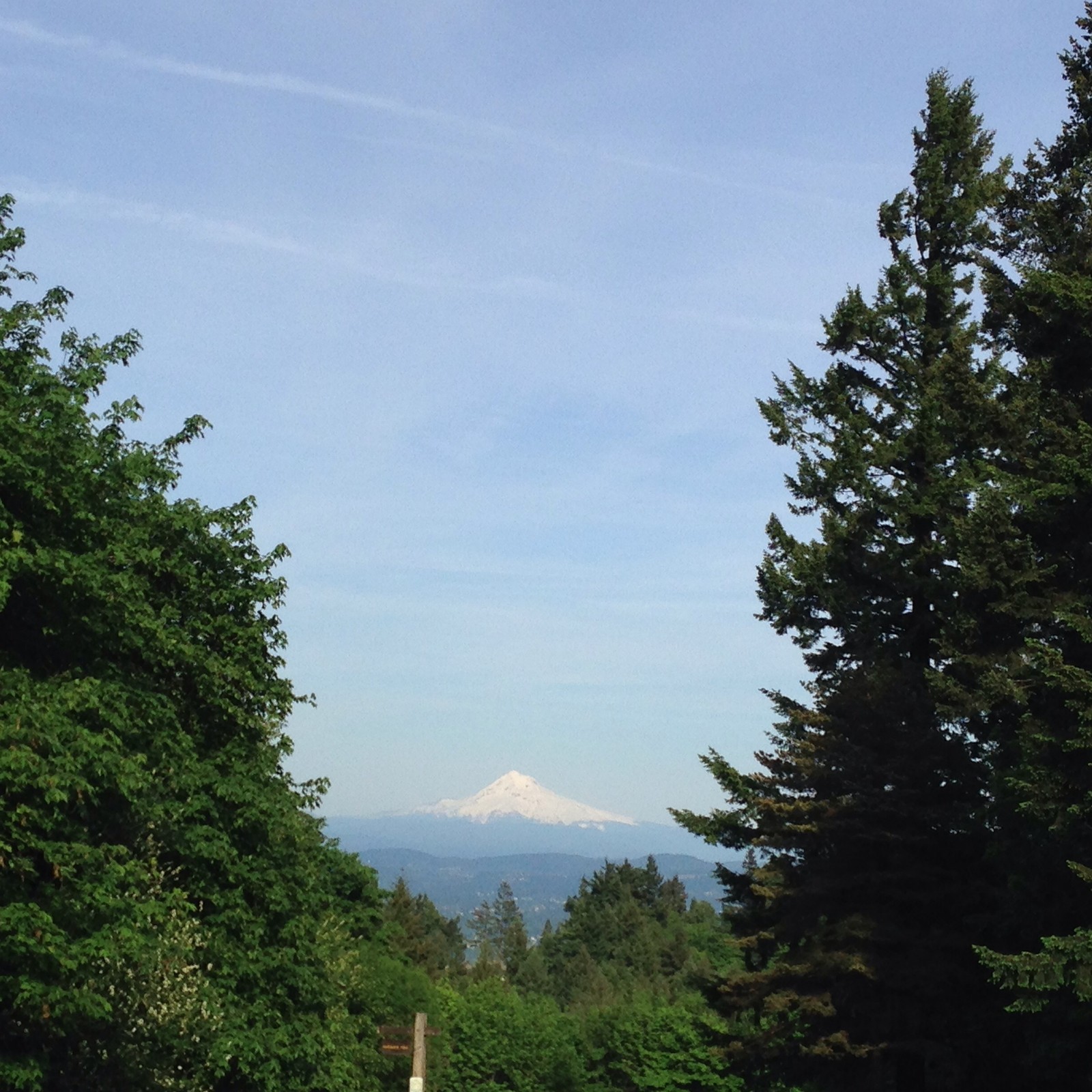 View from Council Crest toward Mt. Hood, which is visible