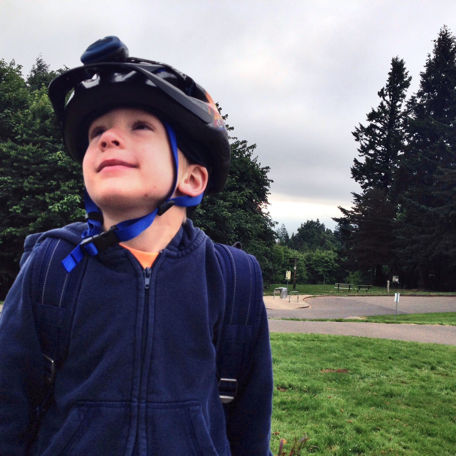 View from Council Crest toward Mt. Hood, which is NOT visible