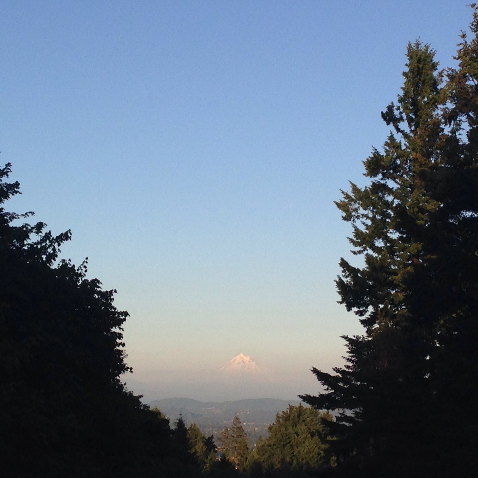 View from Council Crest toward Mt. Hood, which is visible