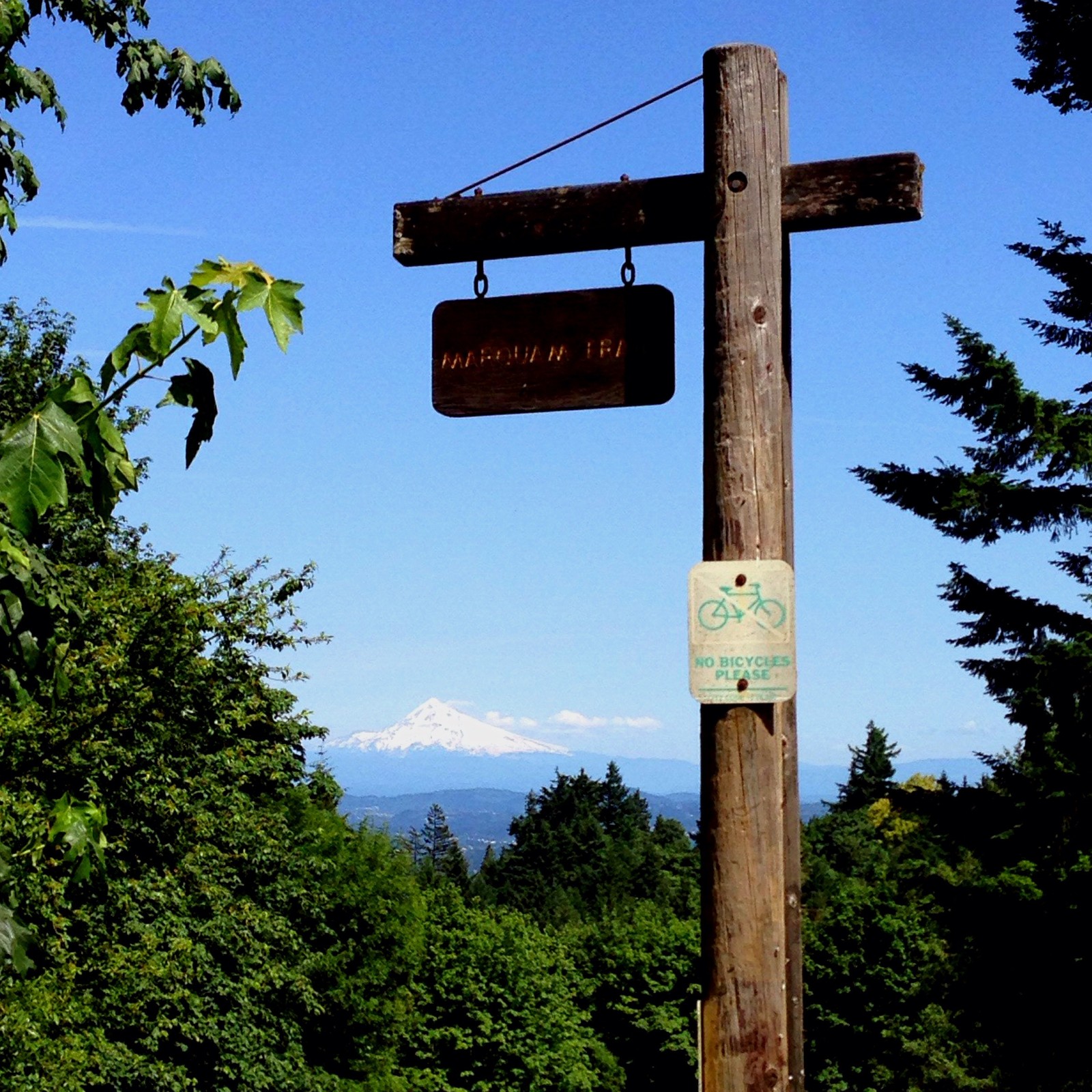 View from Council Crest toward Mt. Hood, which is visible