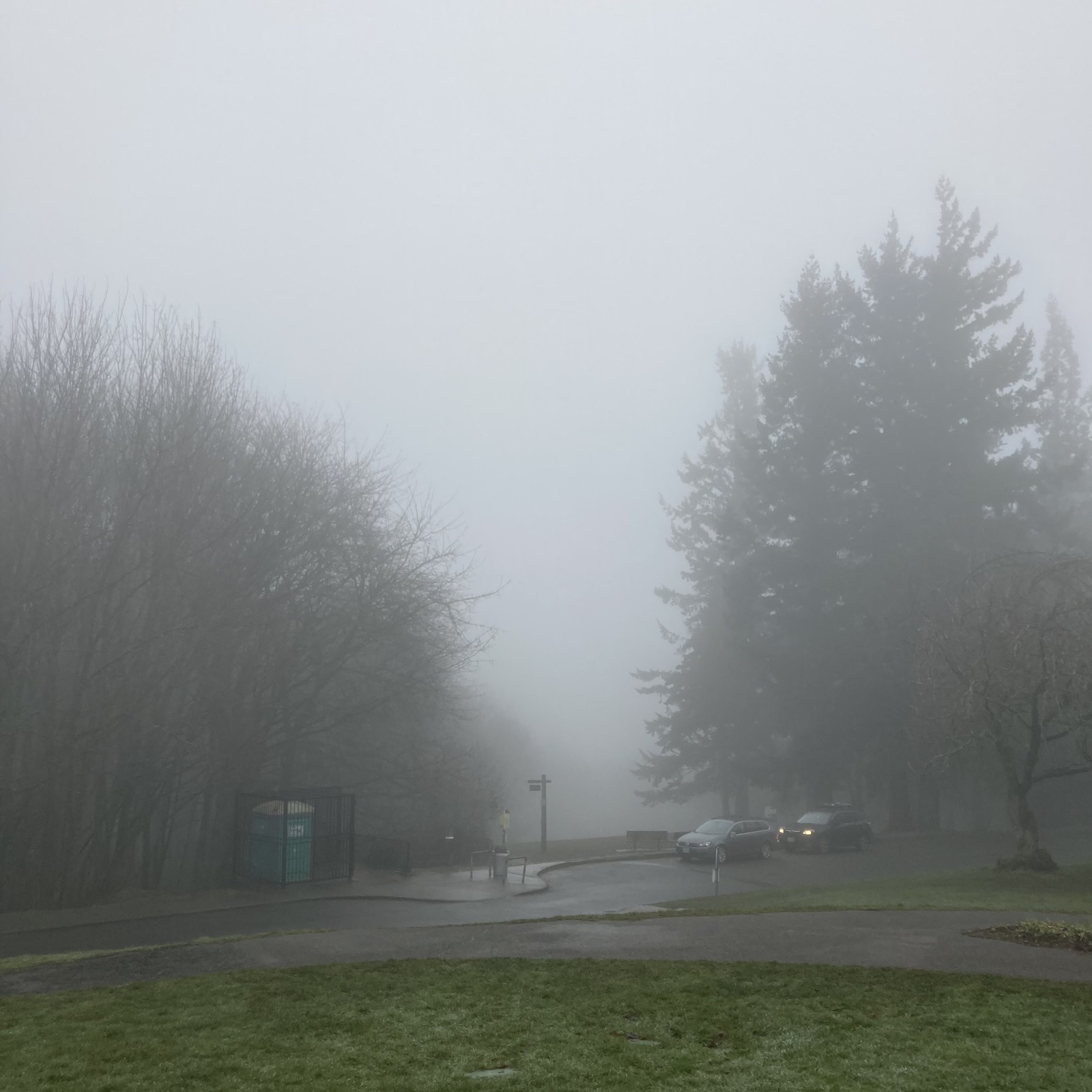 View from Council Crest toward Mt. Hood, which is NOT visible