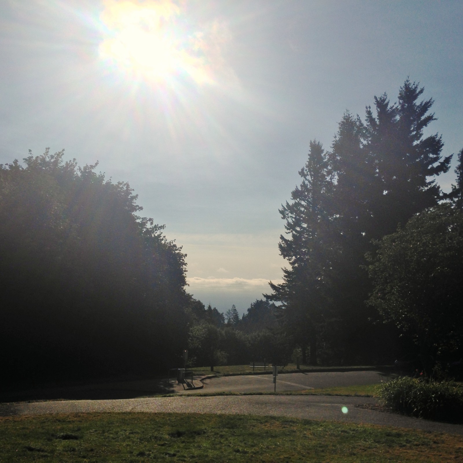 View from Council Crest toward Mt. Hood, which is NOT visible