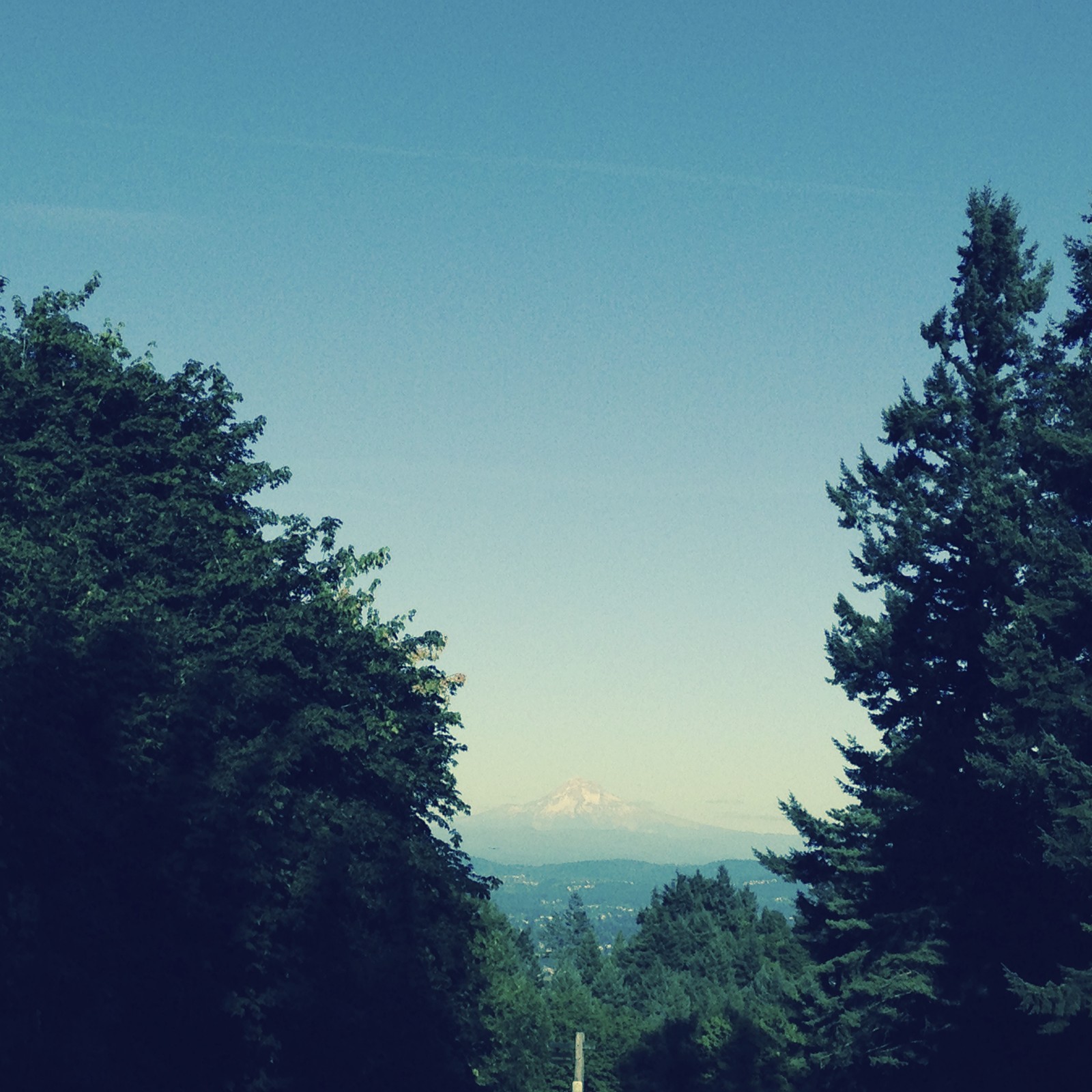 View from Council Crest toward Mt. Hood, which is visible