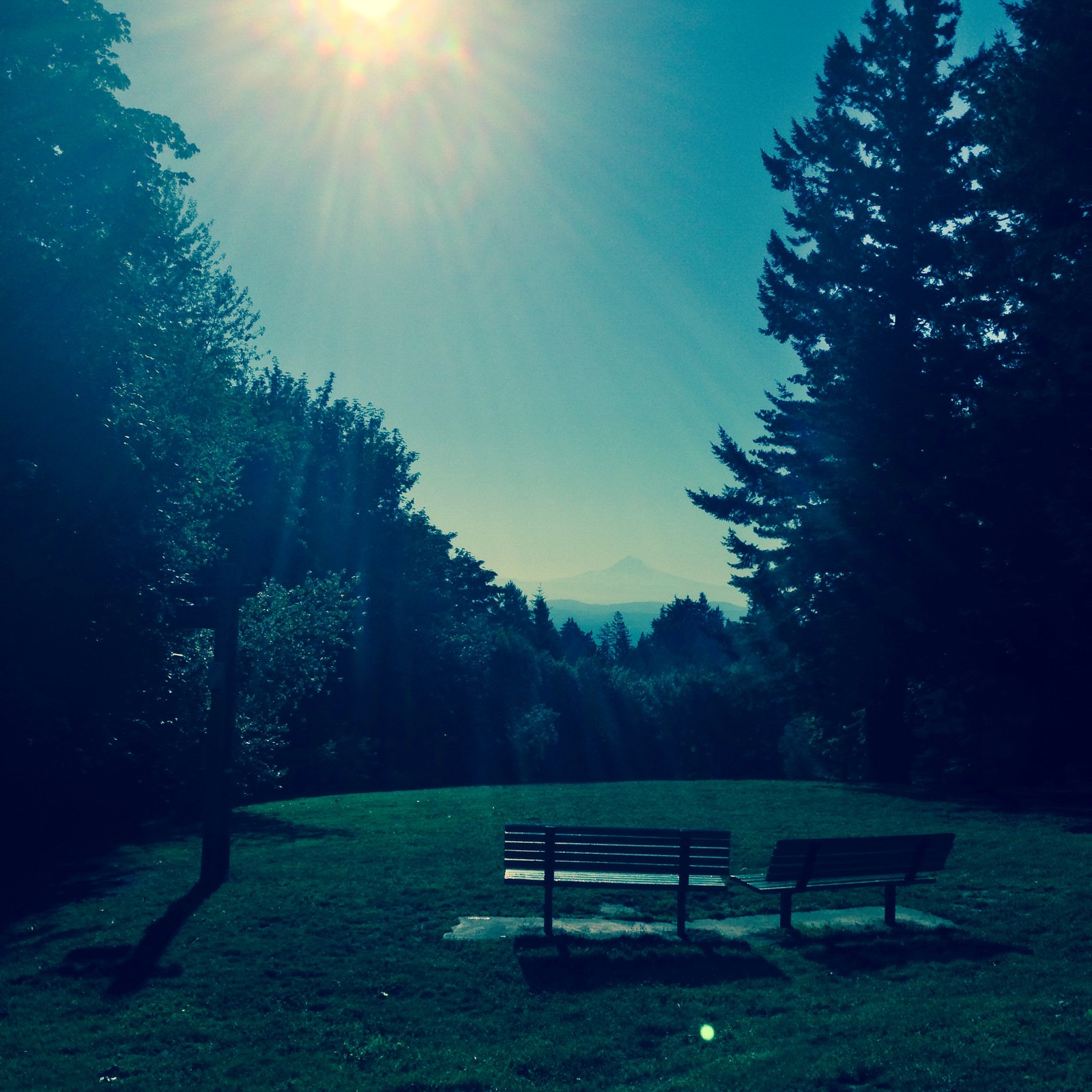 View from Council Crest toward Mt. Hood, which is visible