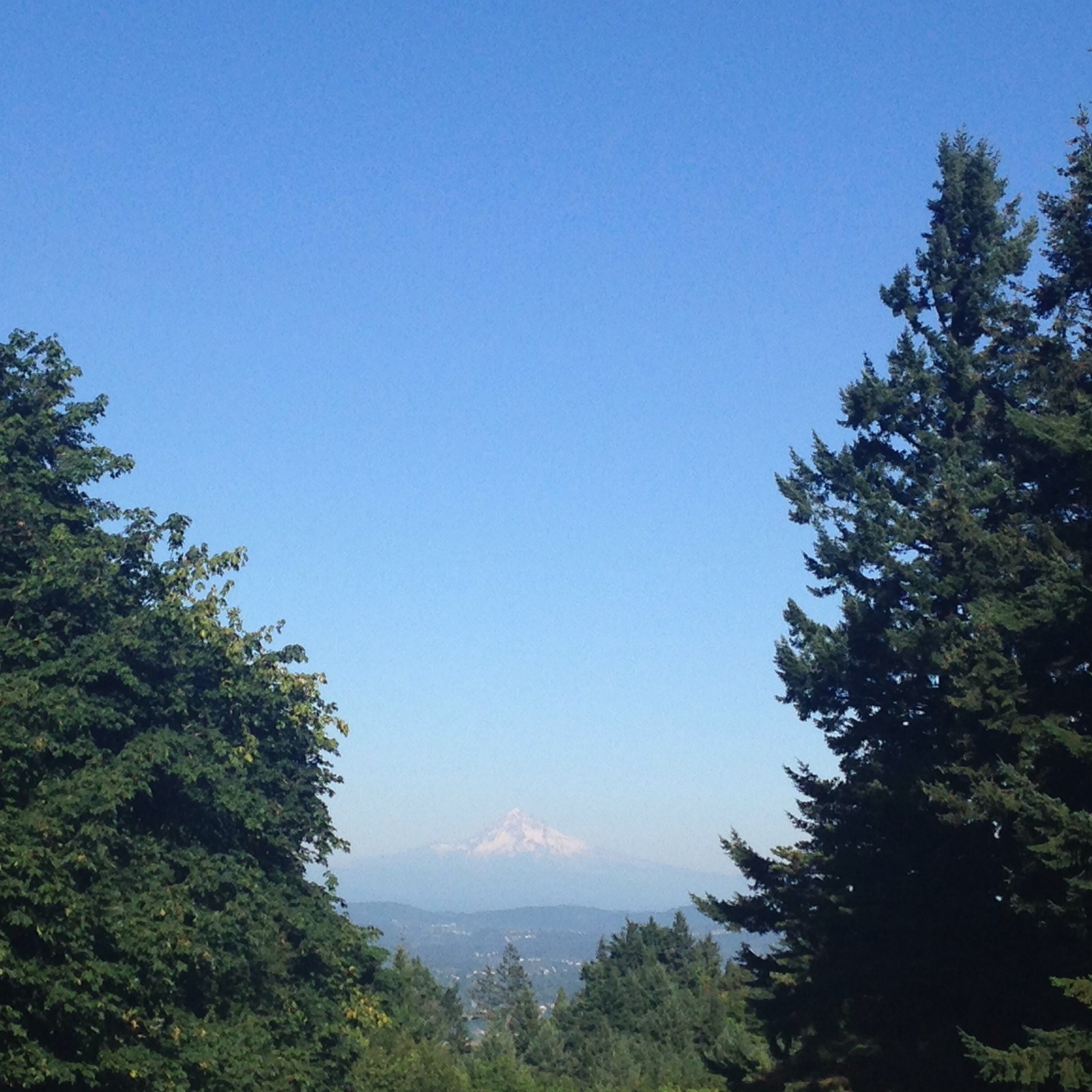 View from Council Crest toward Mt. Hood, which is visible