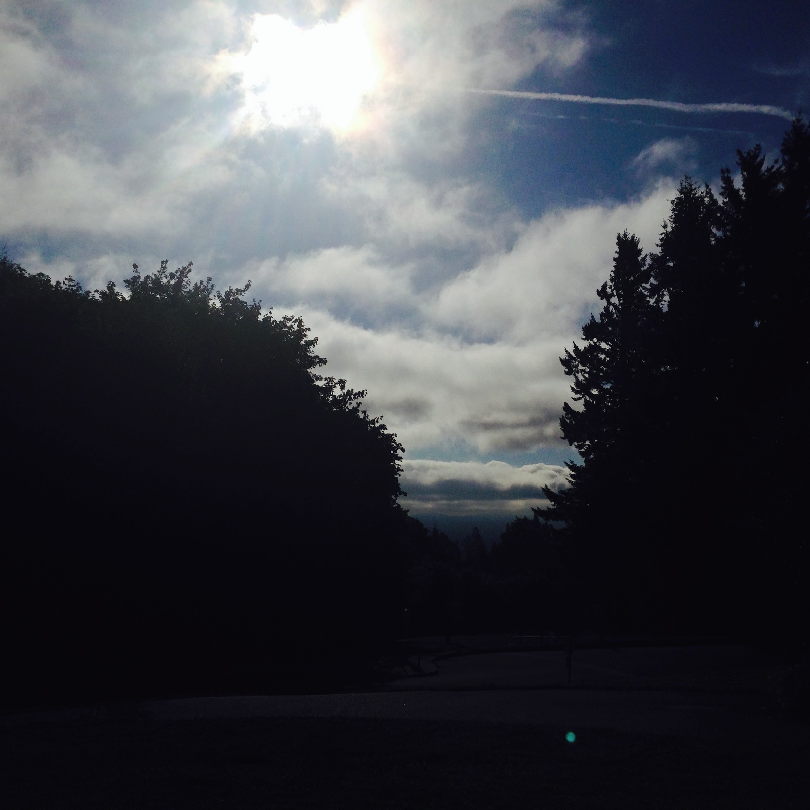 View from Council Crest toward Mt. Hood, which is NOT visible