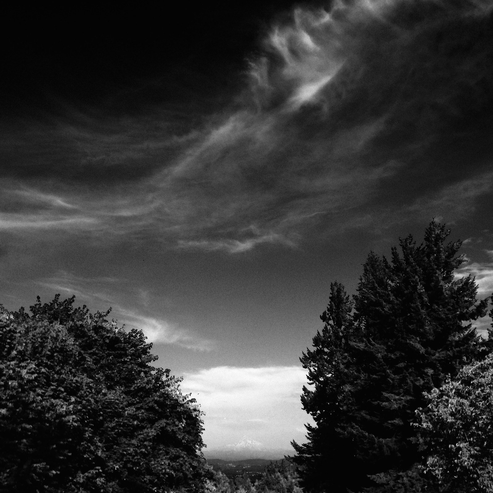 View from Council Crest toward Mt. Hood, which is visible