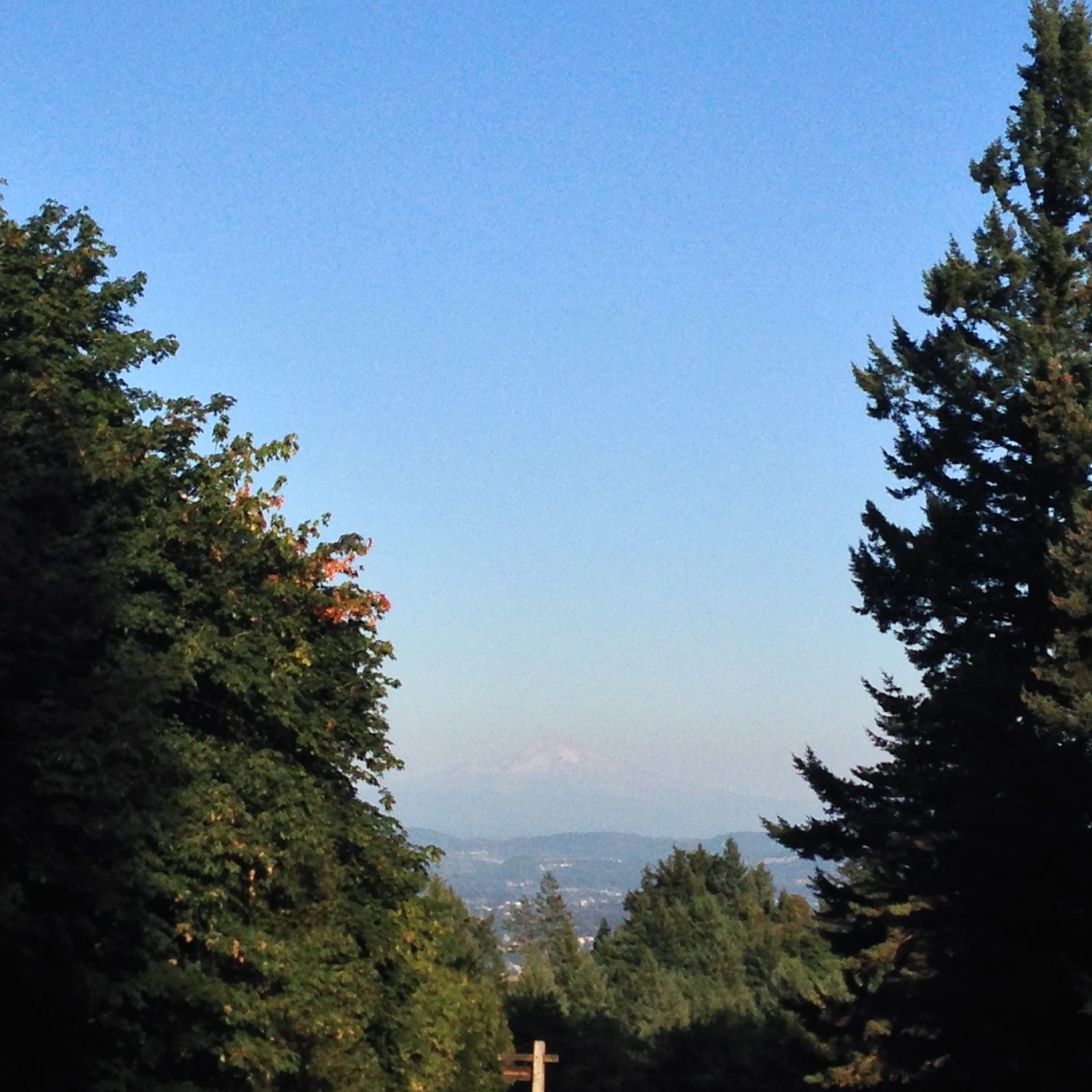 View from Council Crest toward Mt. Hood, which is visible