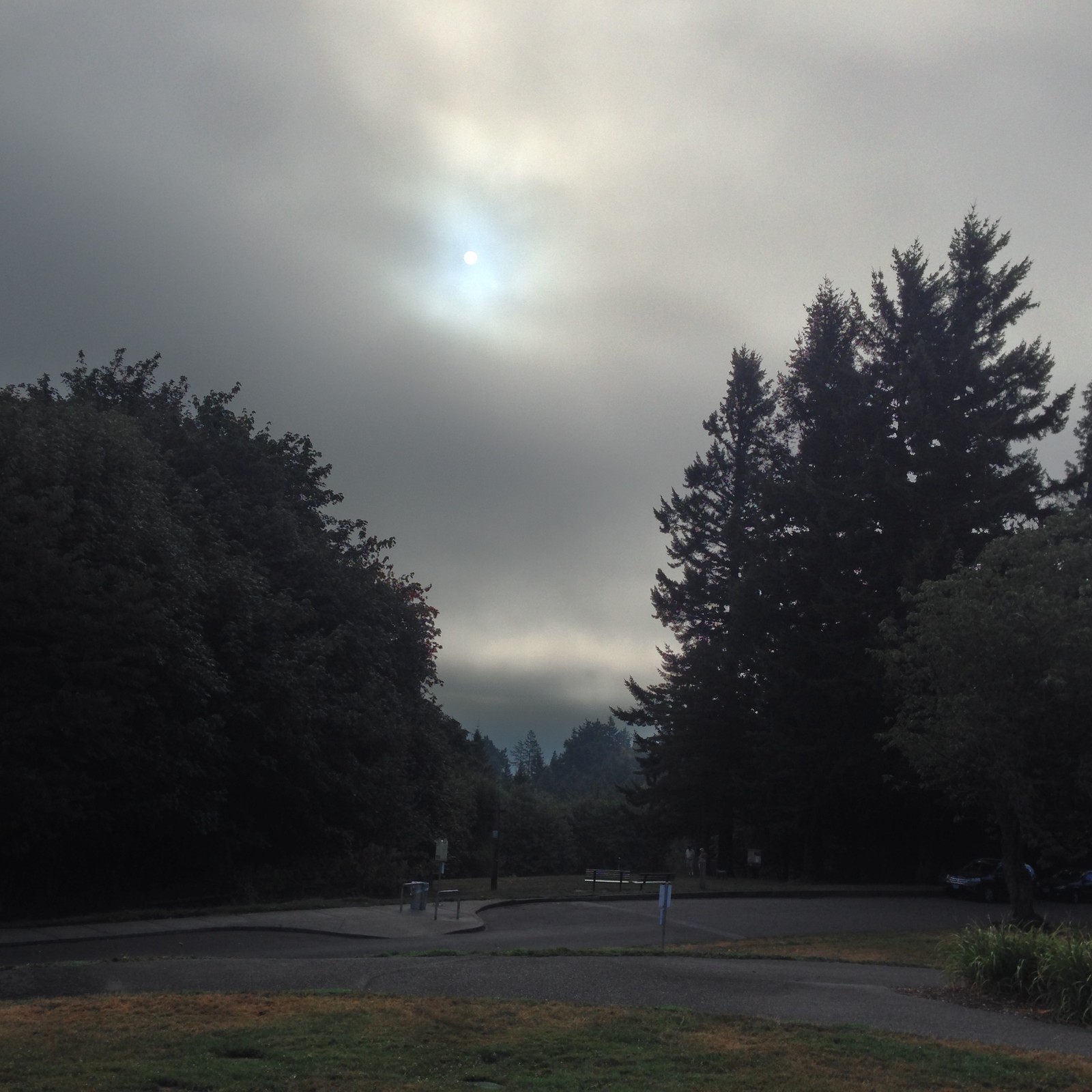 View from Council Crest toward Mt. Hood, which is NOT visible