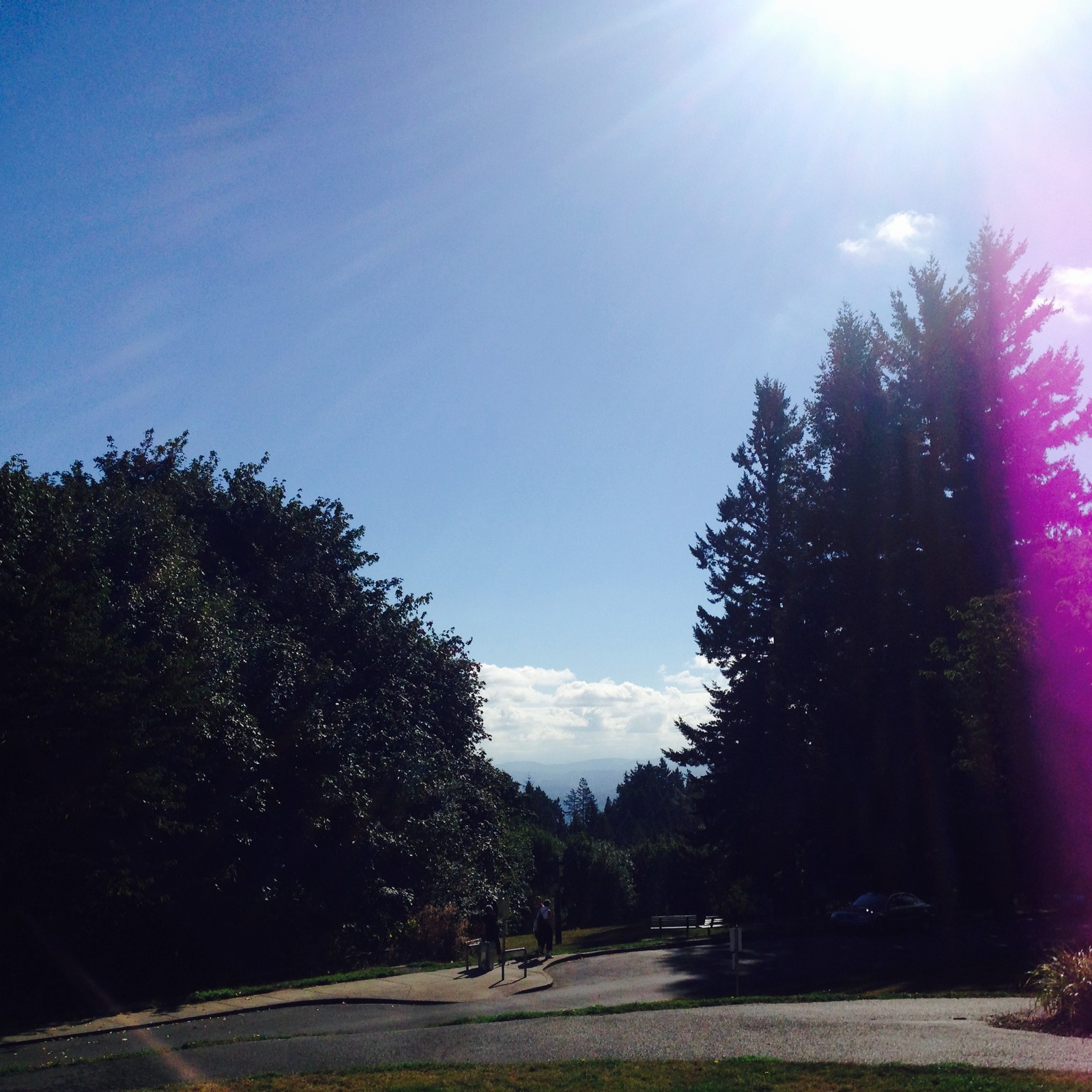 View from Council Crest toward Mt. Hood, which is NOT visible