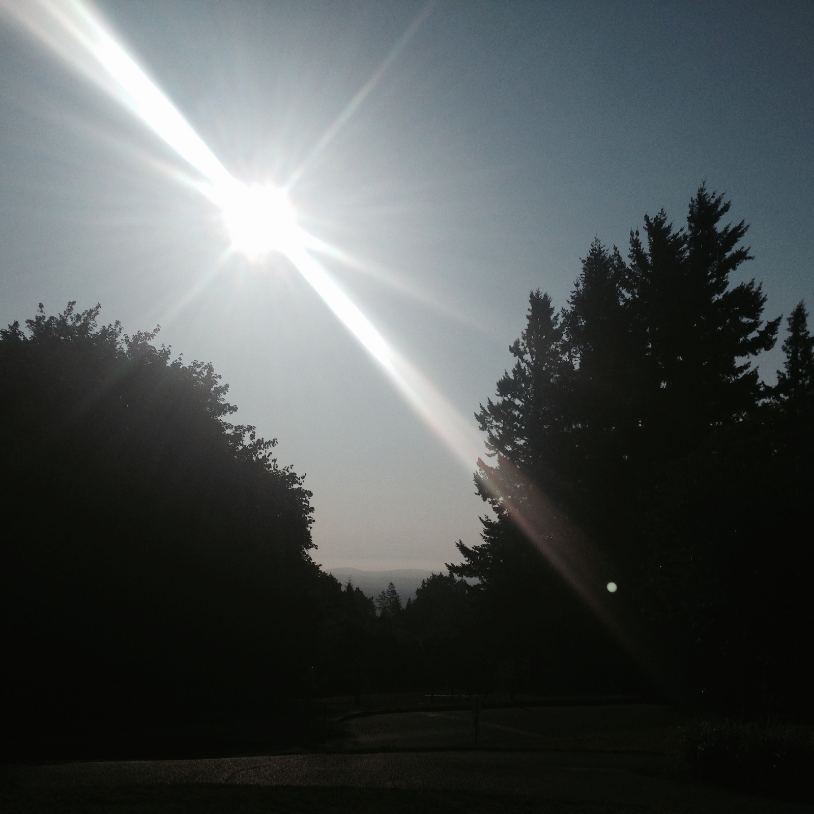 View from Council Crest toward Mt. Hood, which is NOT visible