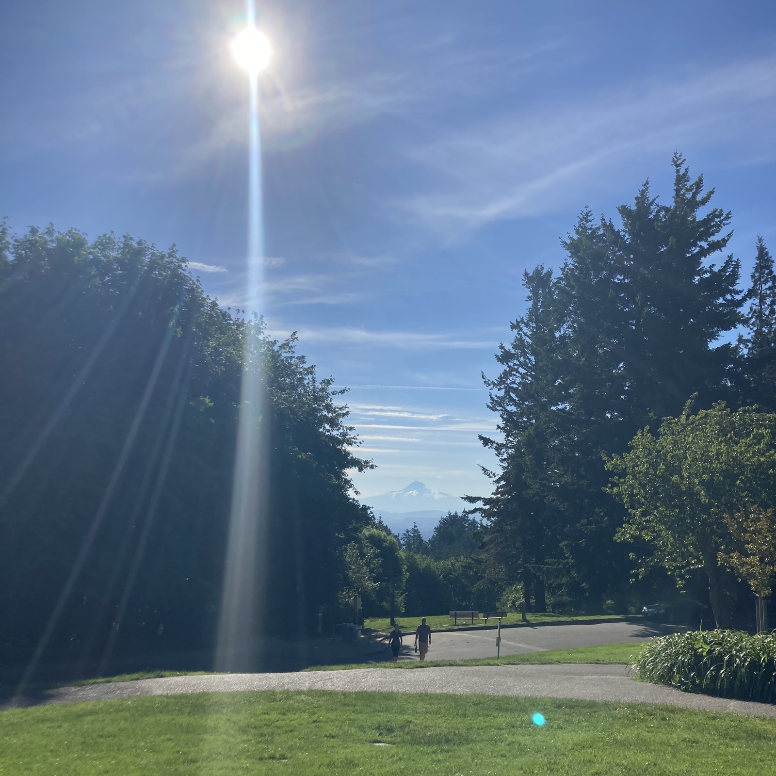 View from Council Crest toward Mt. Hood, which is visible