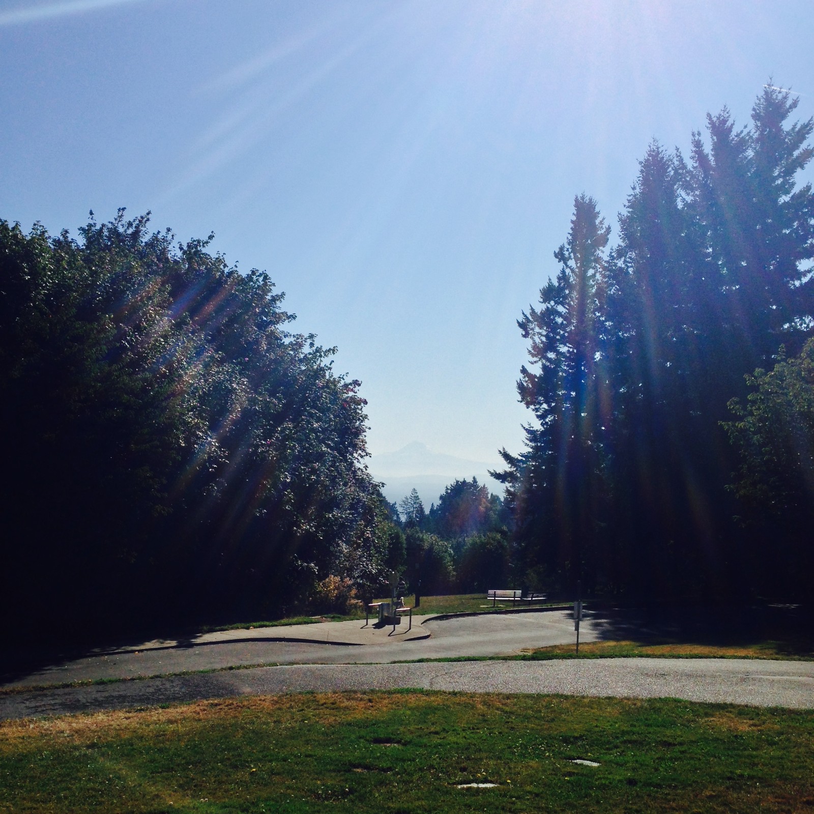 View from Council Crest toward Mt. Hood, which is visible