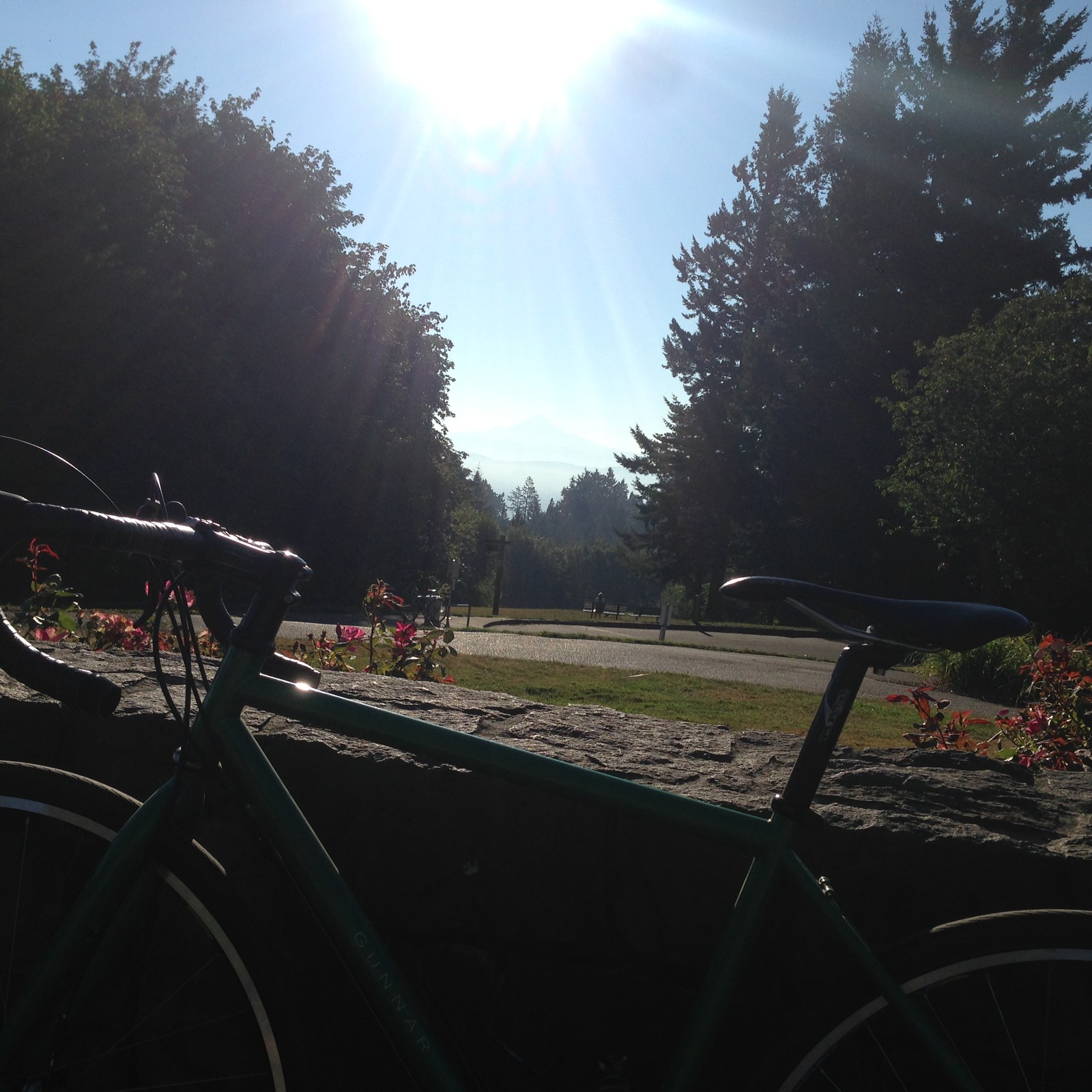 View from Council Crest toward Mt. Hood, which is visible
