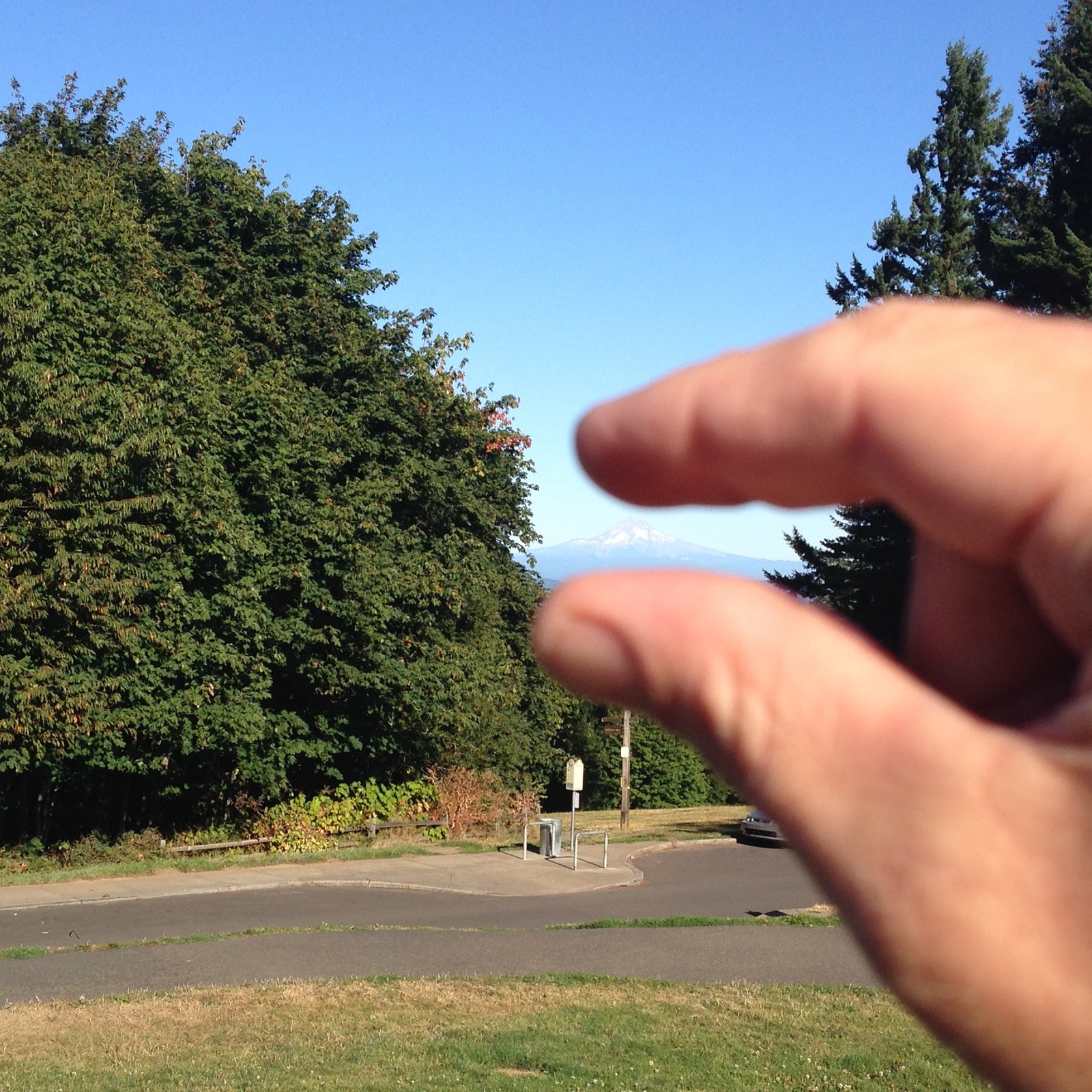View from Council Crest toward Mt. Hood, which is visible