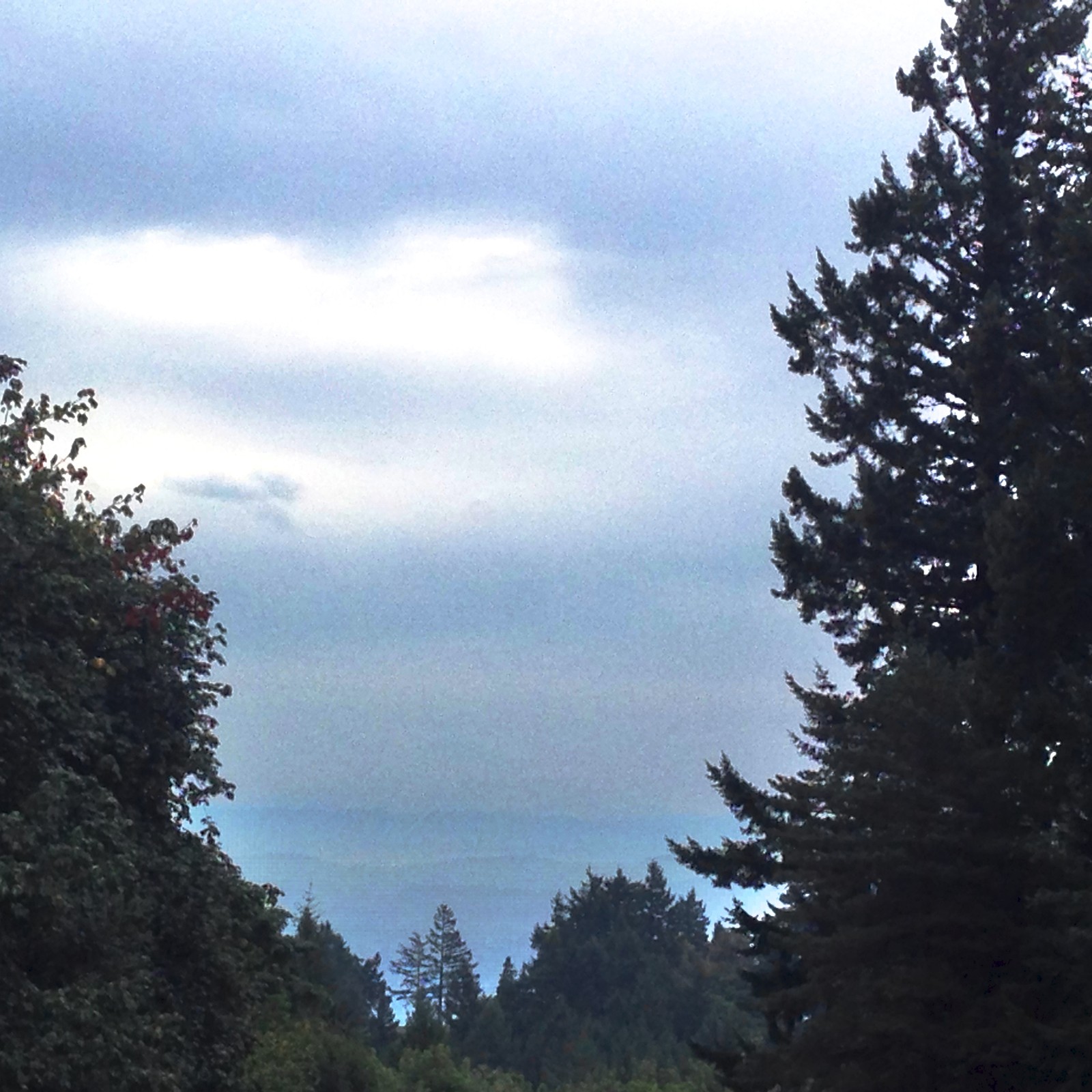 View from Council Crest toward Mt. Hood, which is NOT visible