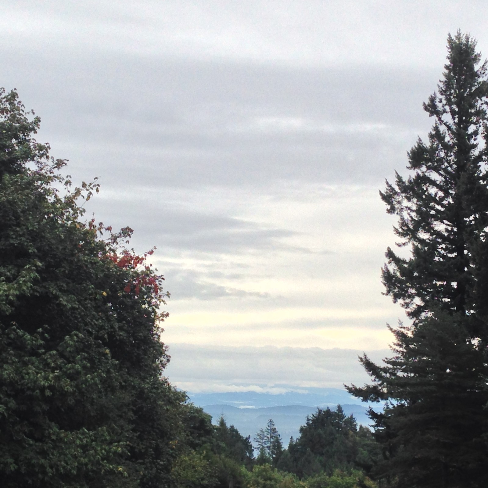 View from Council Crest toward Mt. Hood, which is NOT visible