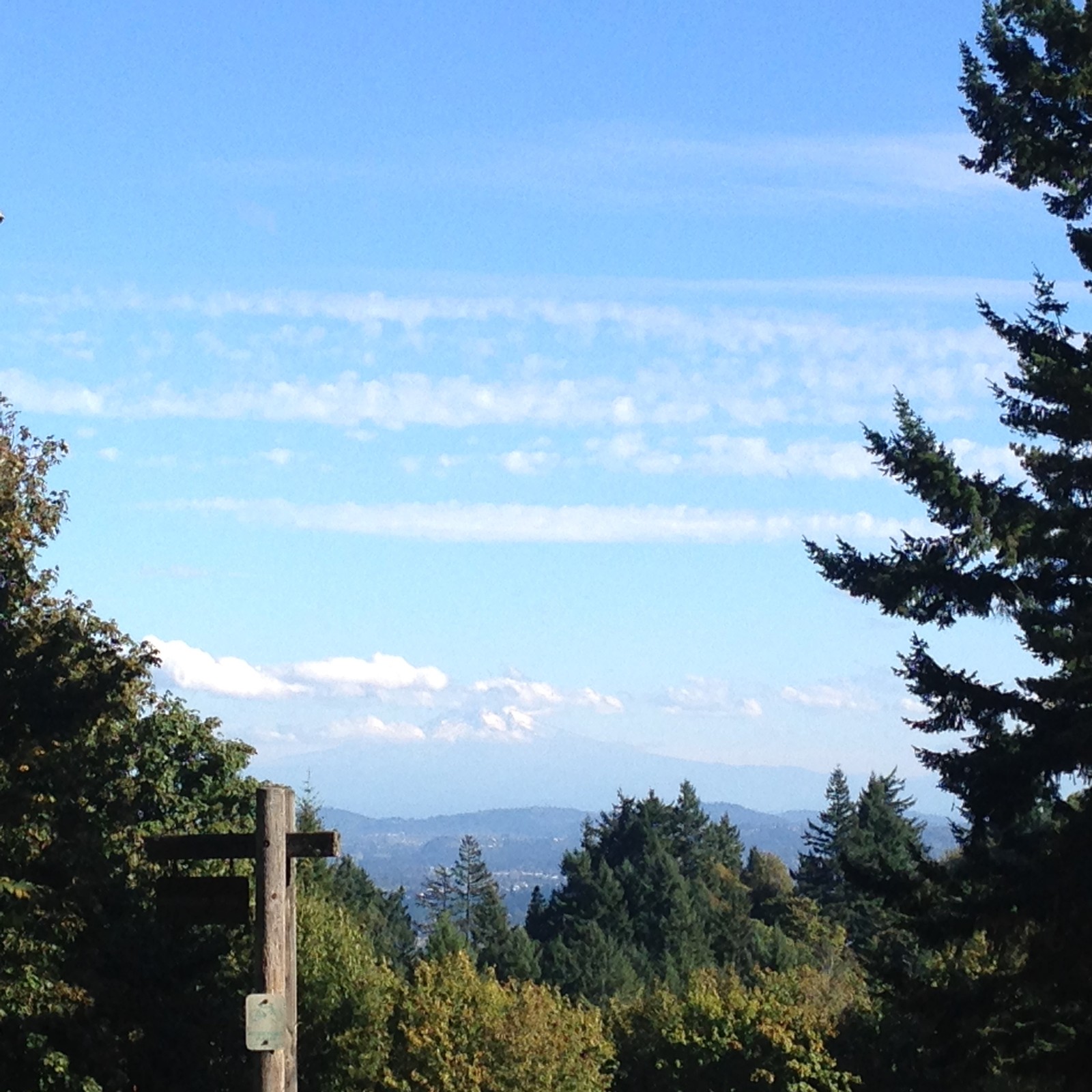 View from Council Crest toward Mt. Hood, which is visible