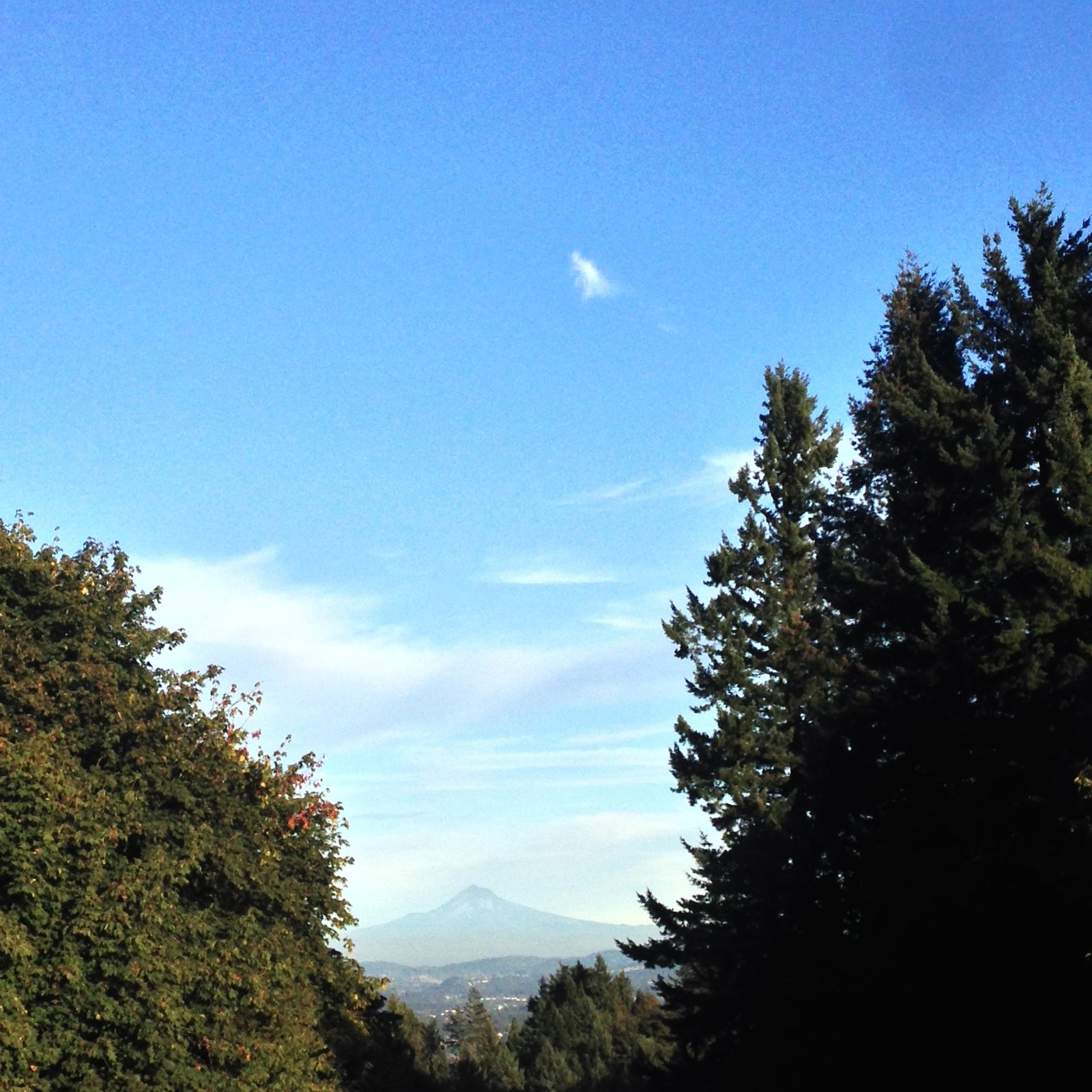 View from Council Crest toward Mt. Hood, which is visible